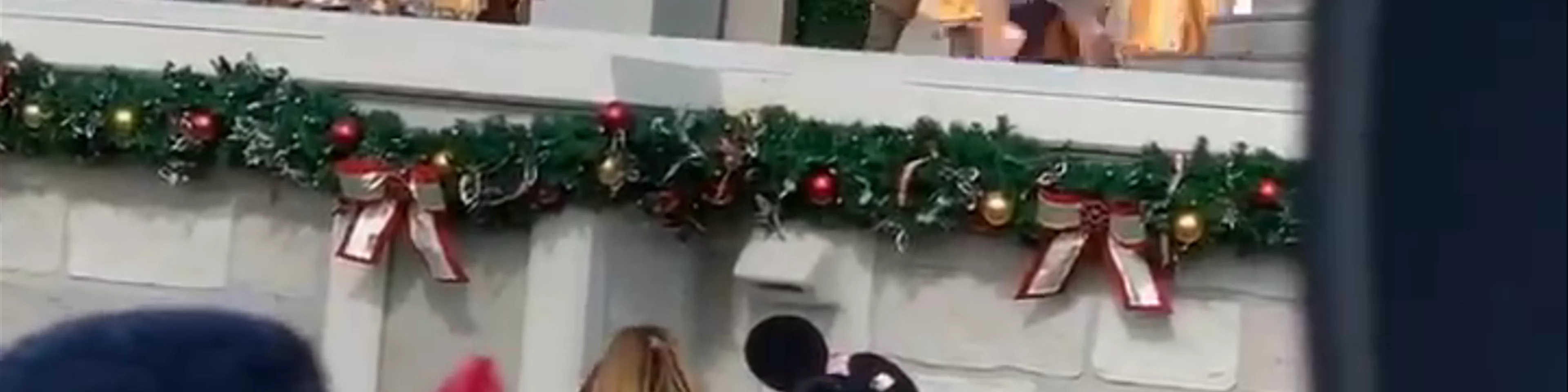 Walt Disney World 