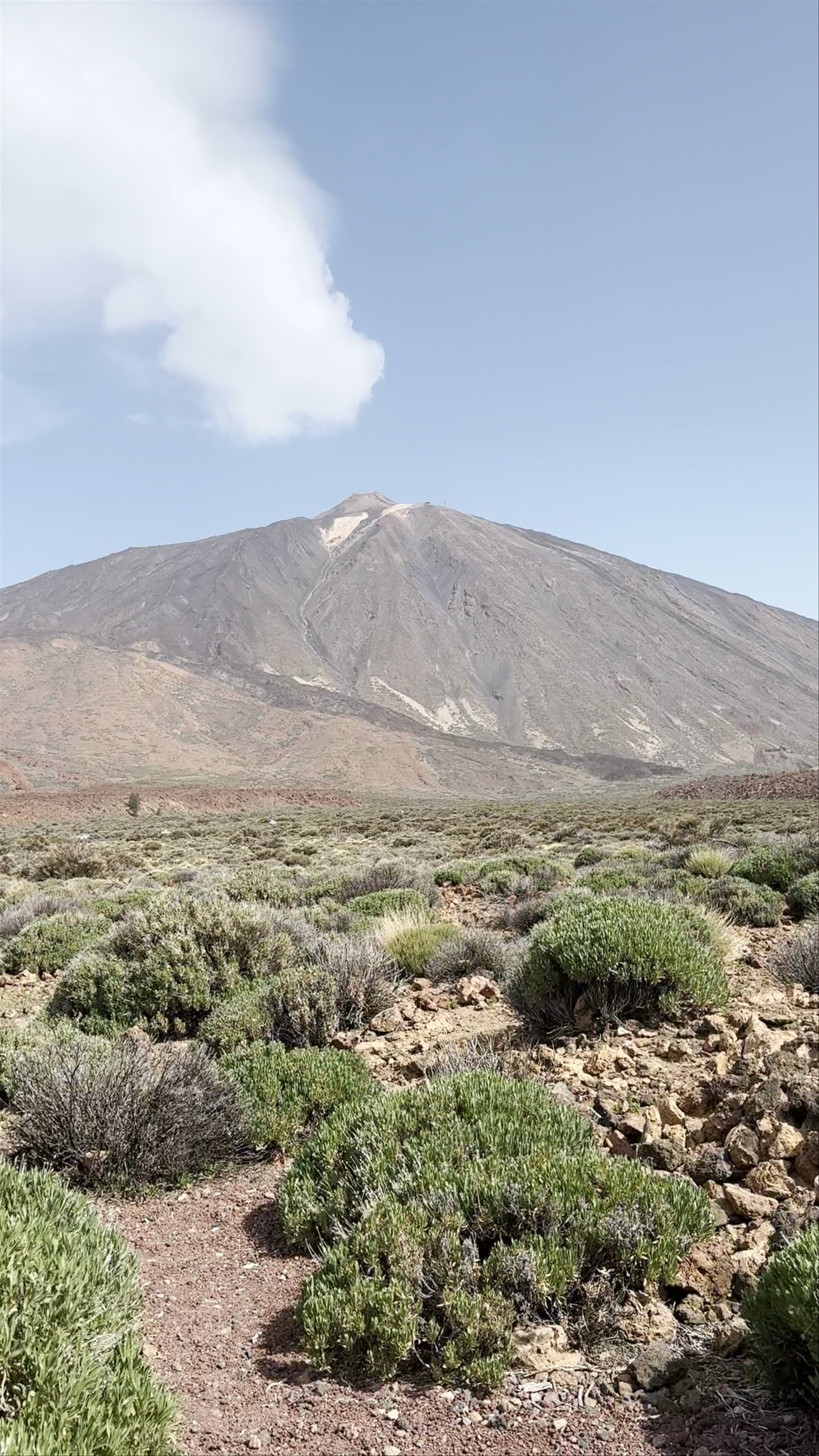 Parque Nacional del Teide