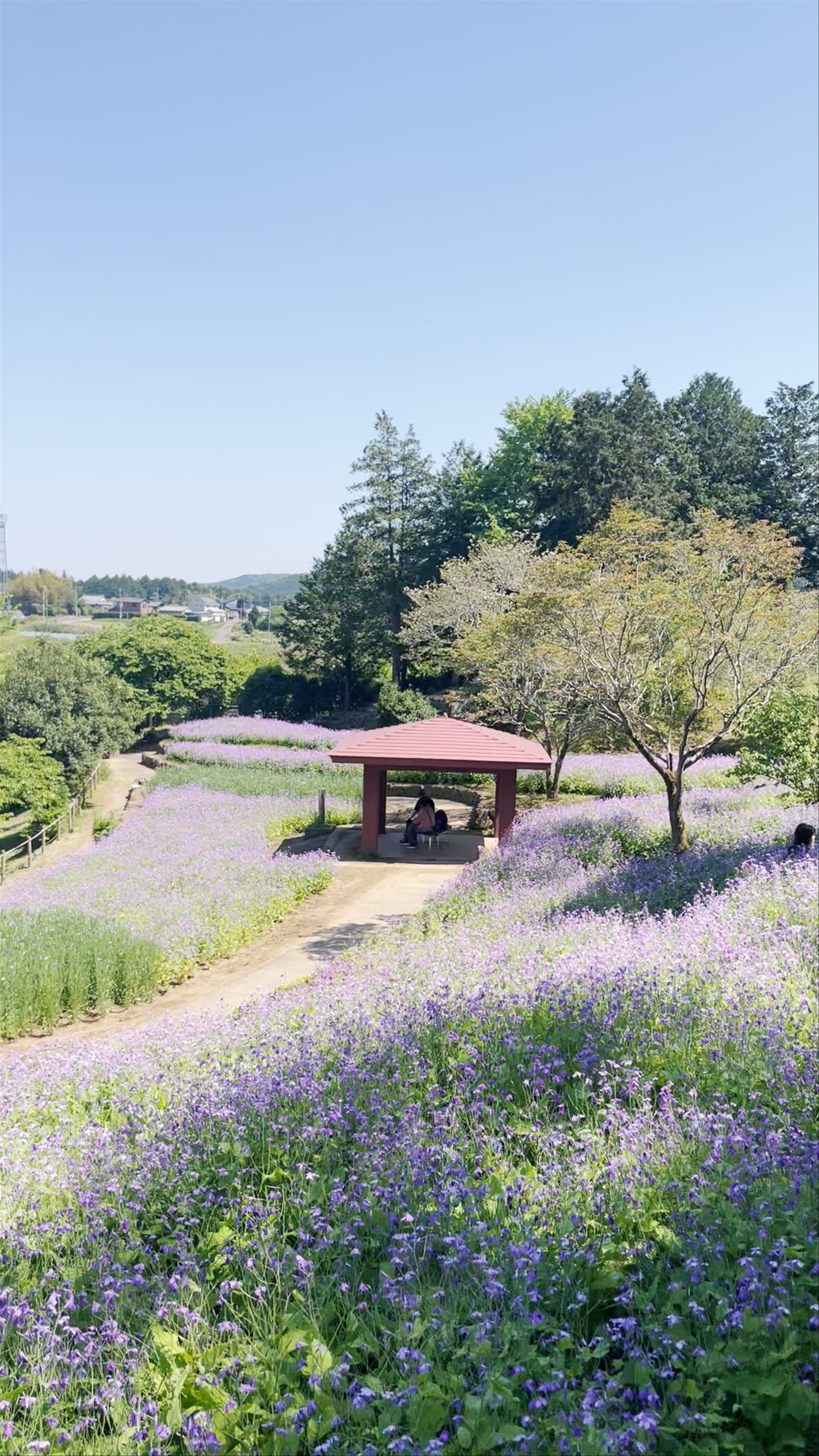 IBARAKI FLOWER PARK