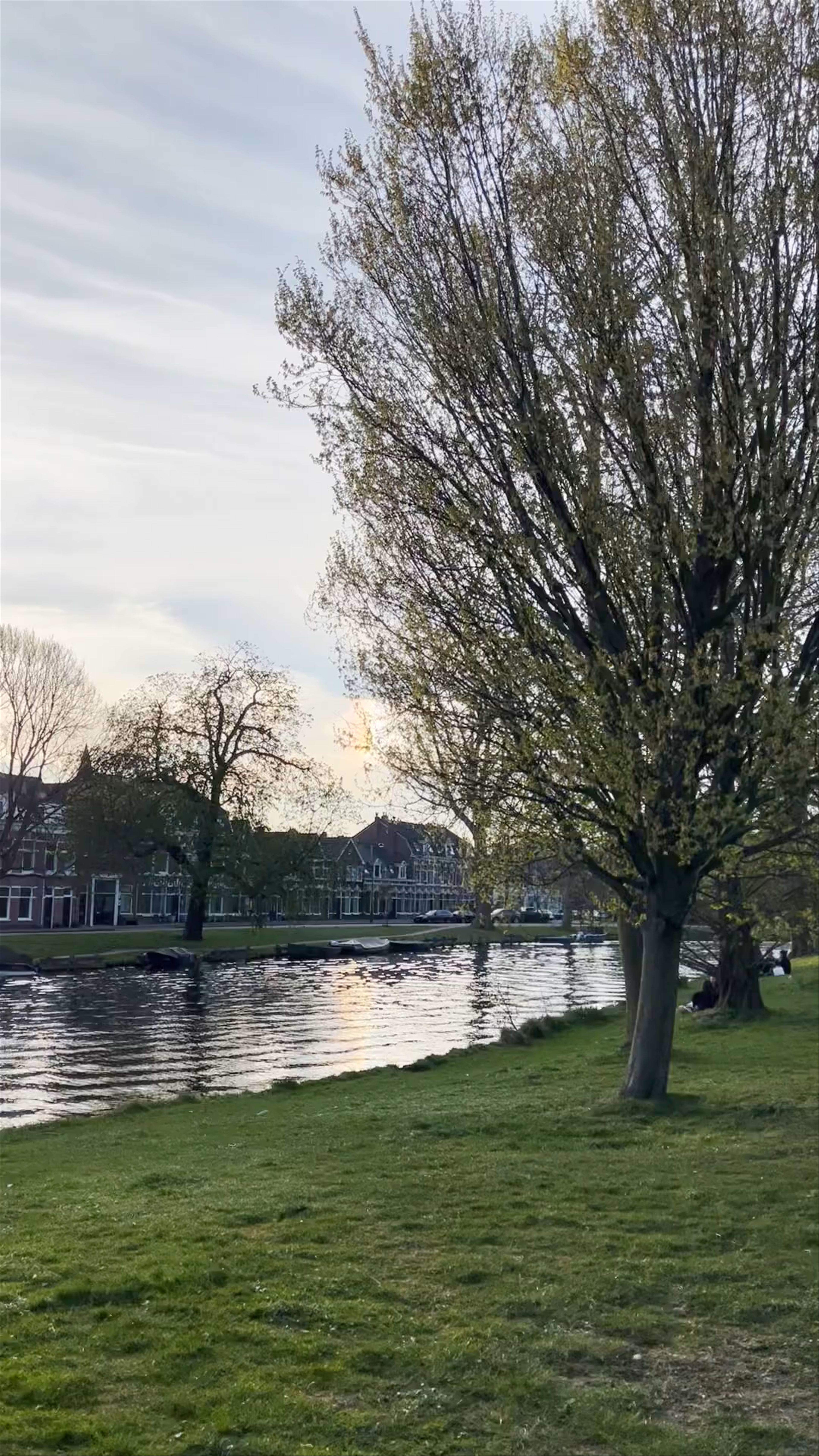 A Spring Afternoon Walk Through Kenaupark, Haarlem
