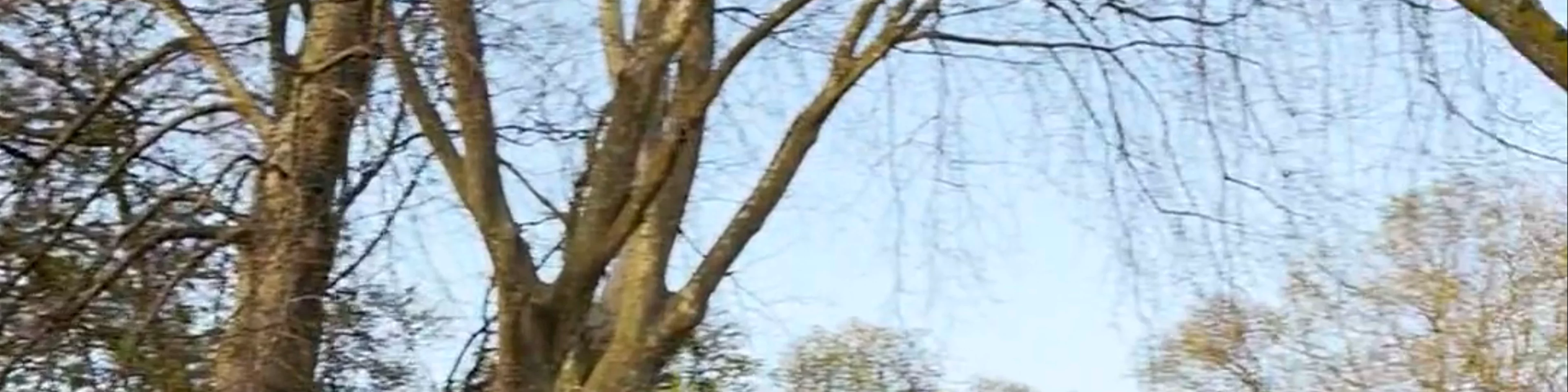 Kenaupark