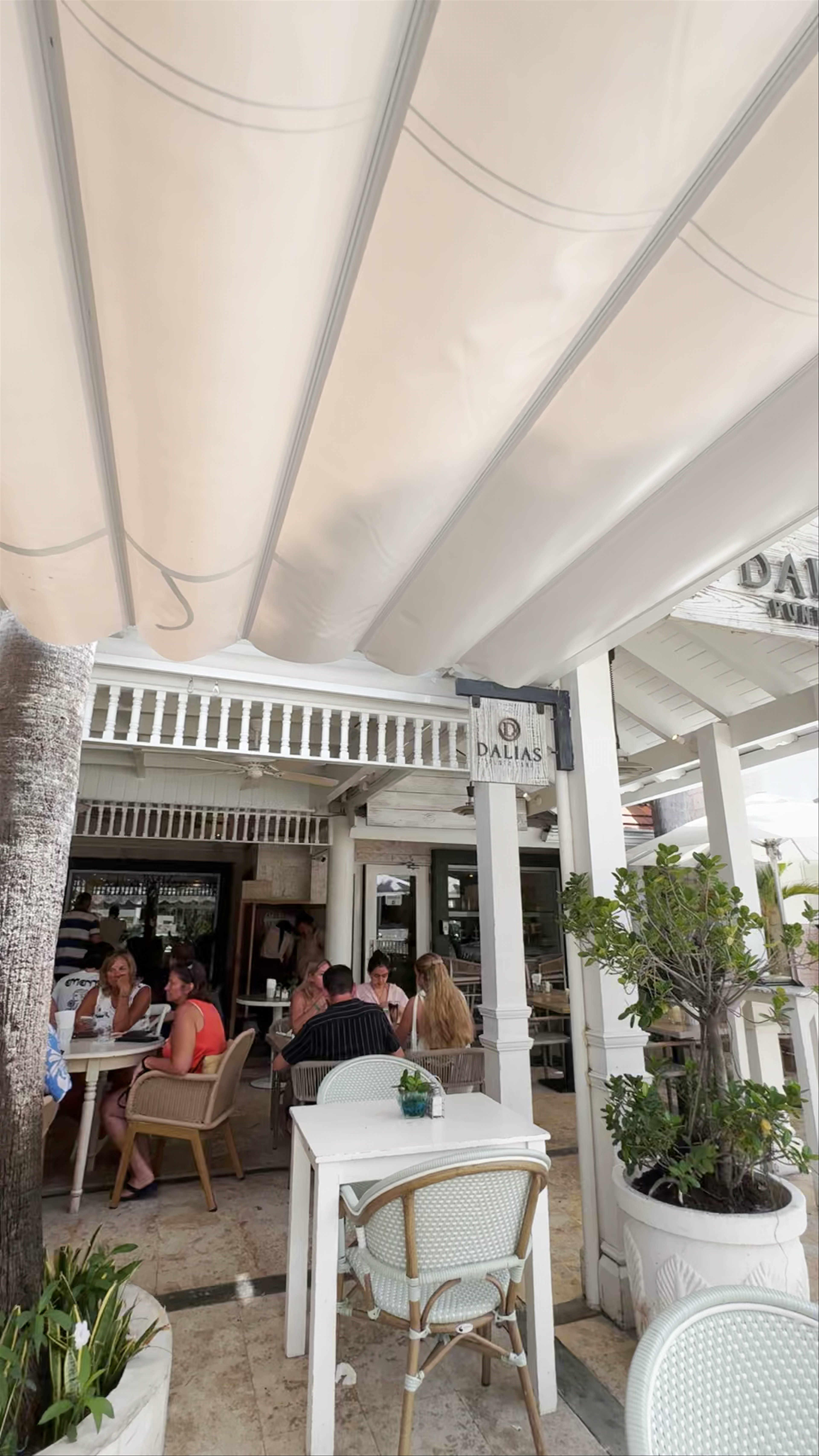 Dalia's Cafe & Bakery