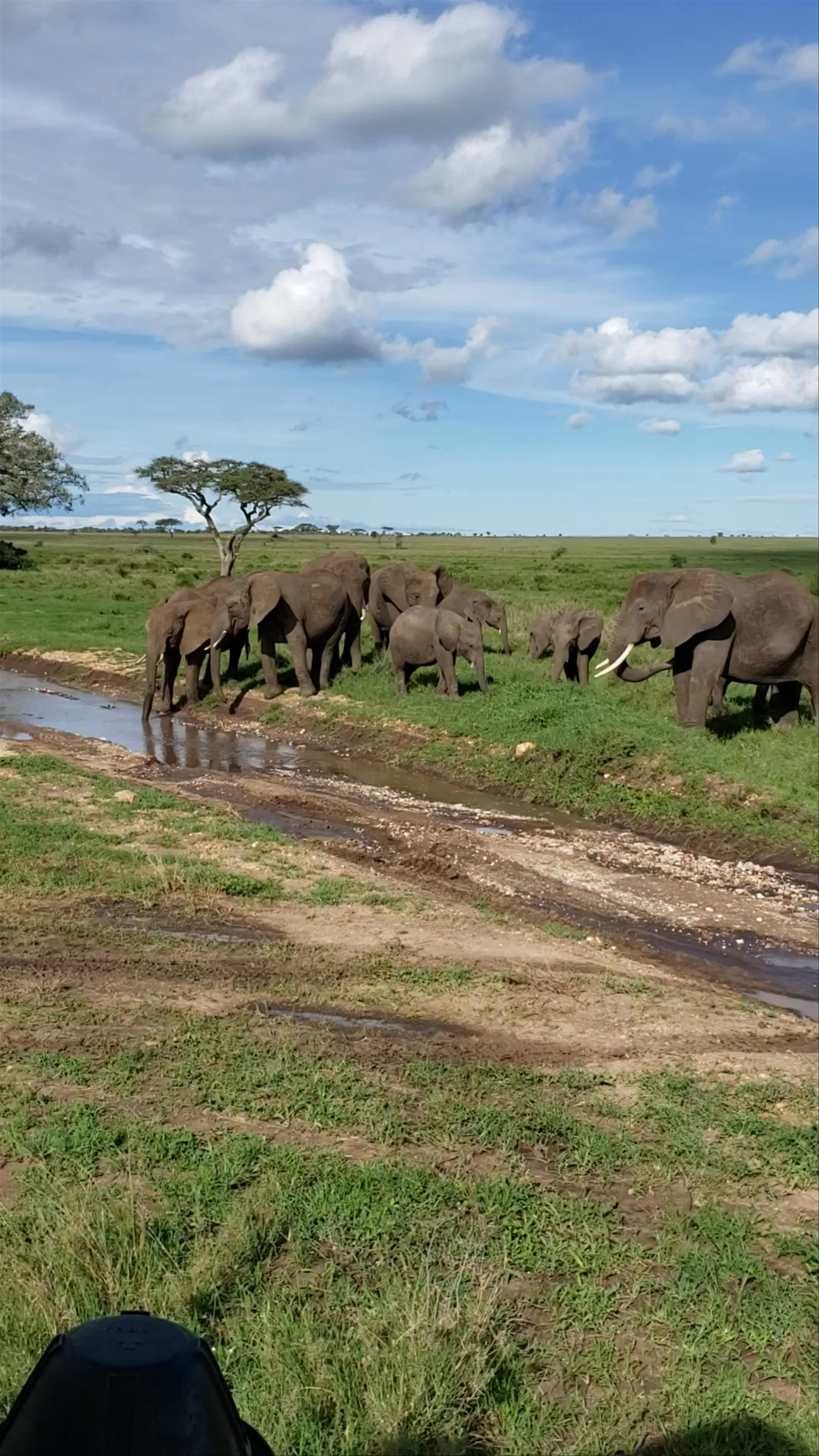 Serengeti National Park