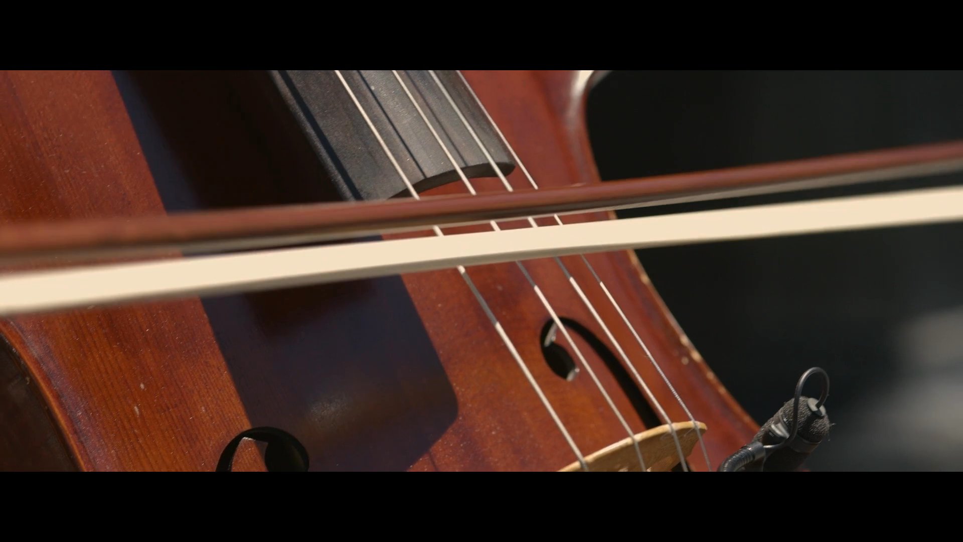 A ballet dancer performs in a public park accompanied by a live cellist while an onlooker experiences an intense emotional reaction. The narrative juxtaposes the beauty of the dance with personal distress in a communal setting.