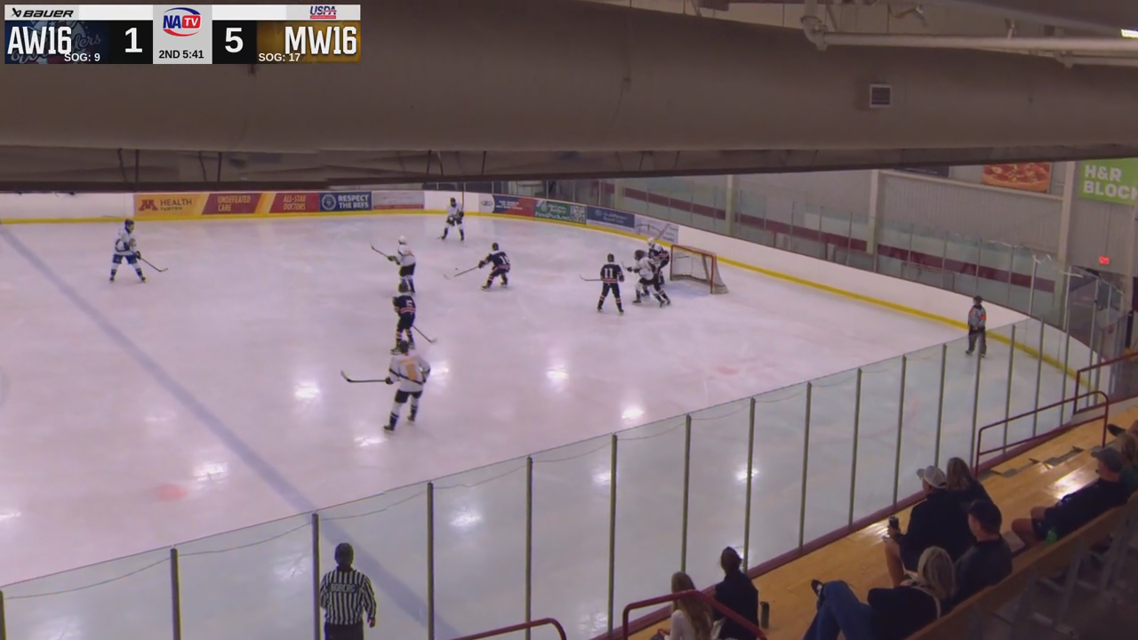 Michael Sullivan's Impressive 1-Timer & Shots | MN Walleye Highlights