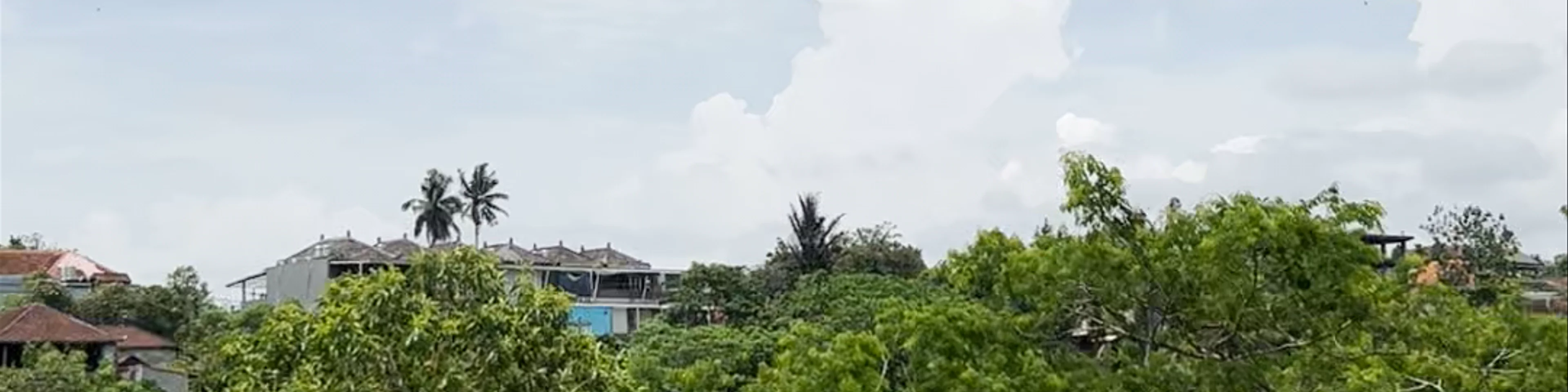 Campuhan Ridge Walk