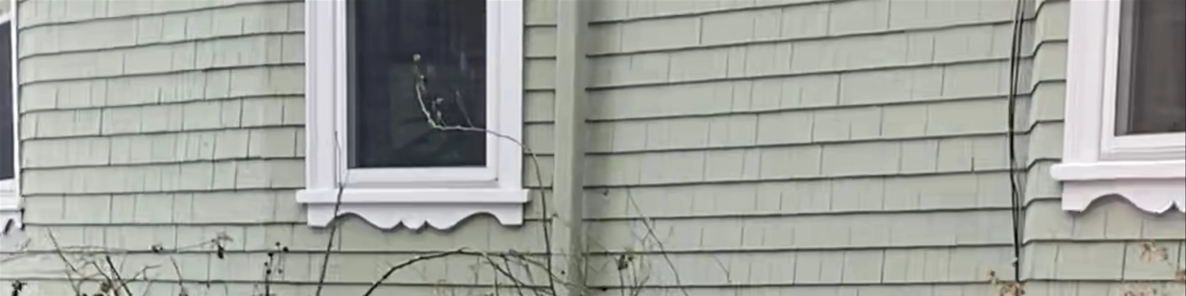 John F. Kennedy Birthplace