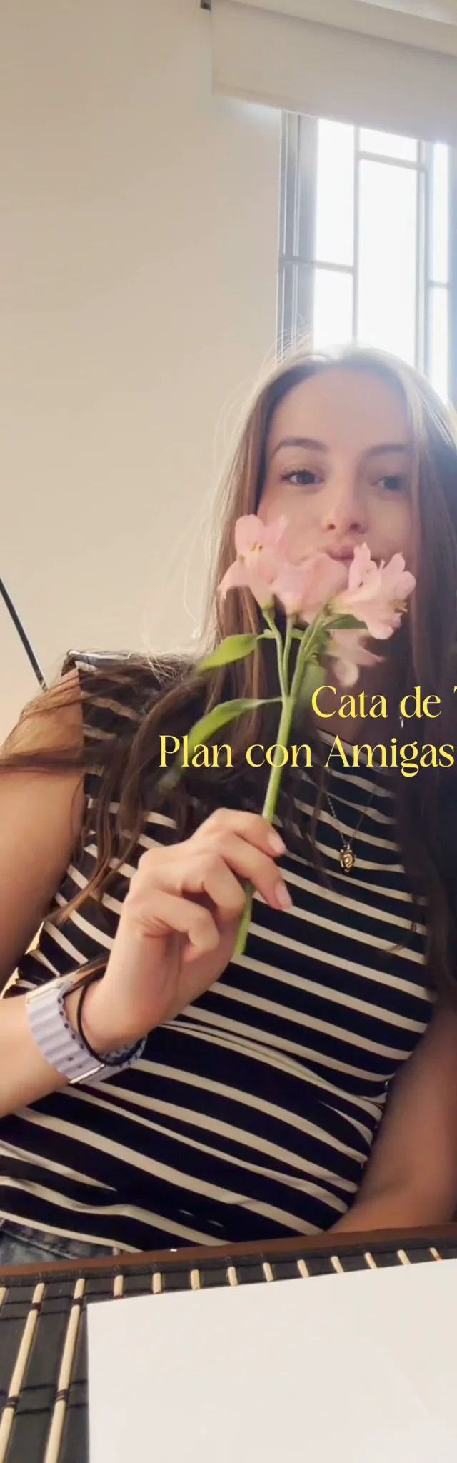 Contenido del creador
