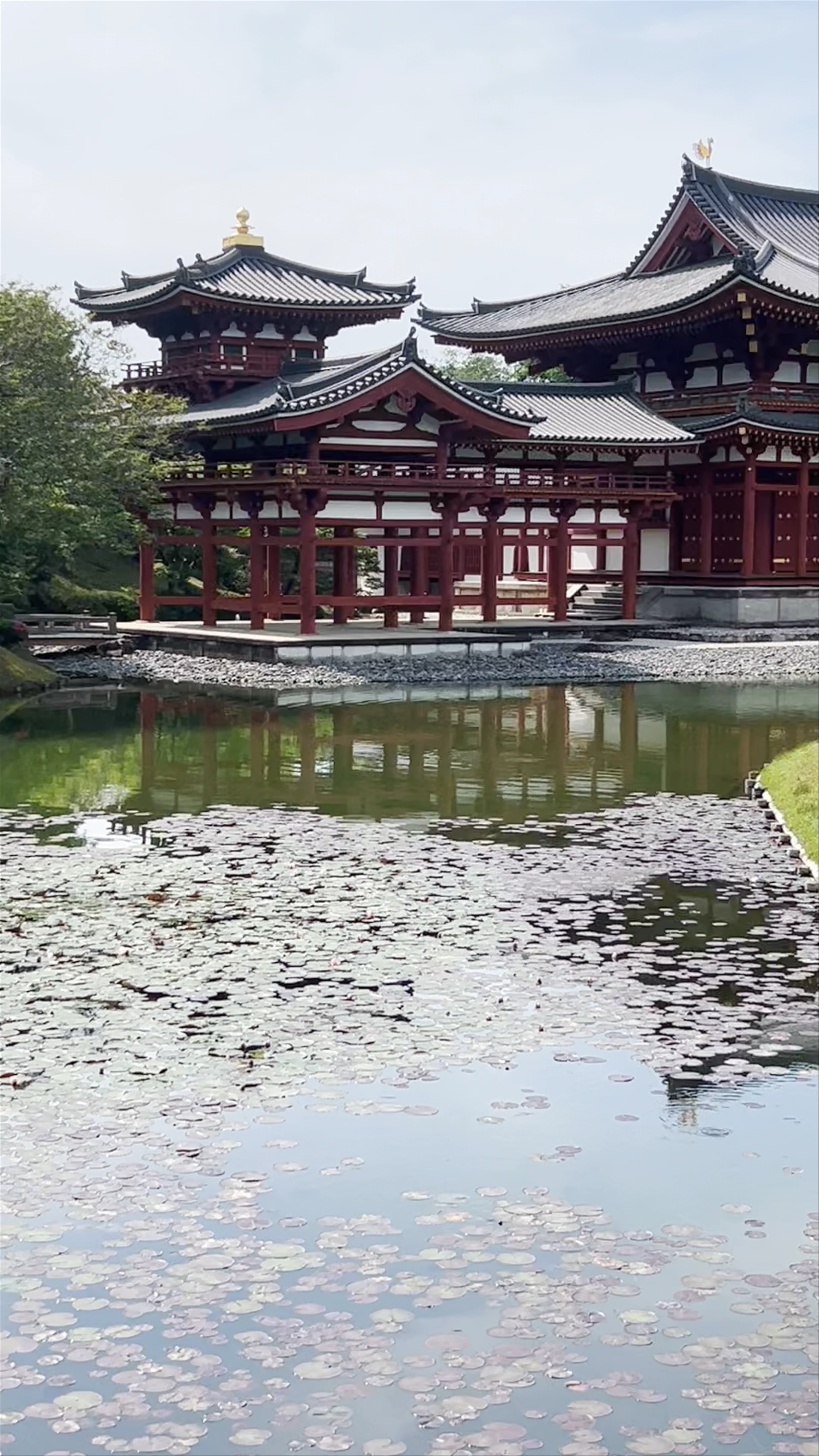 Byodoin, Renge-116 Uji, Kyoto, Japan