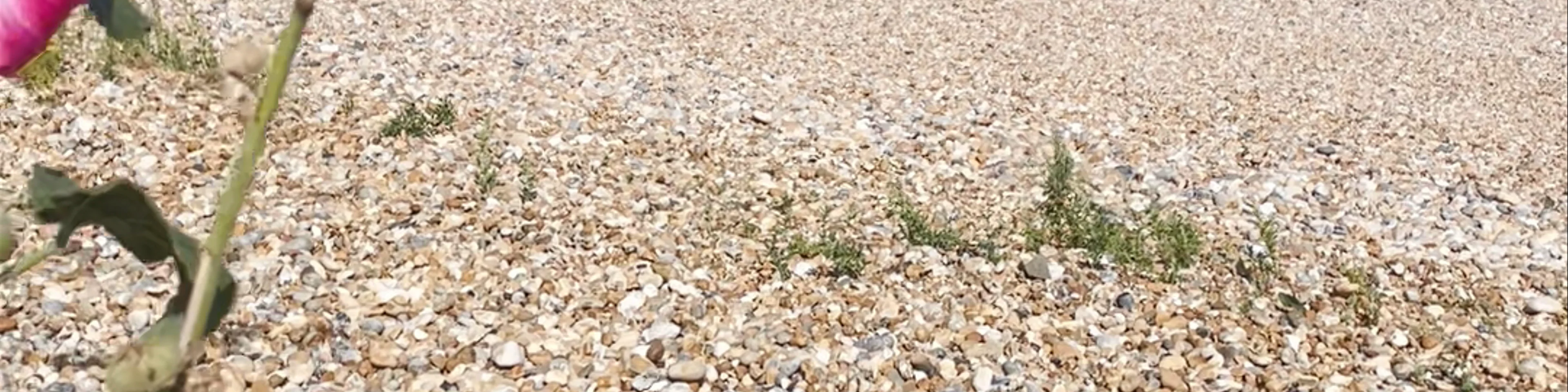 Deal Seafront