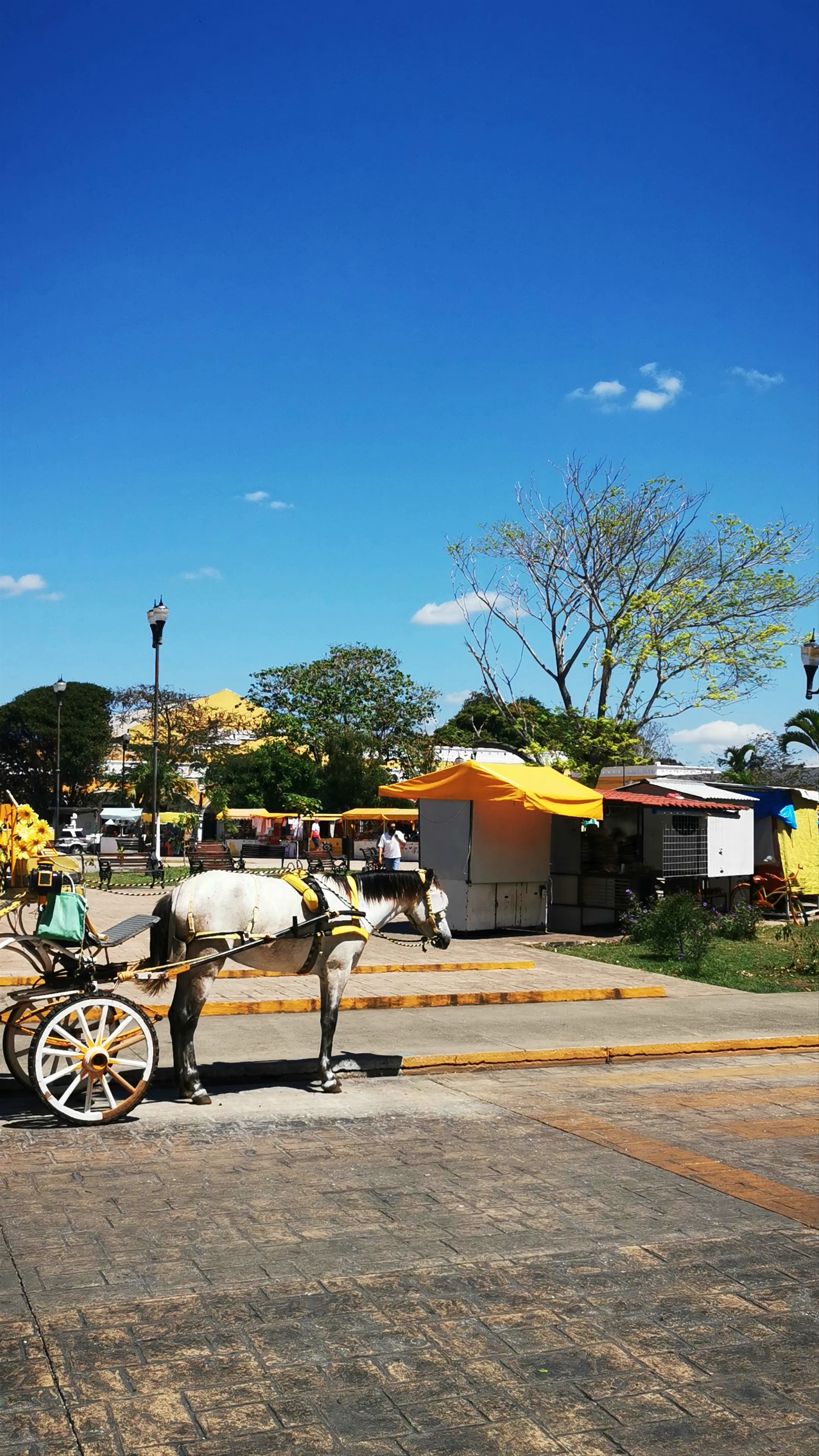 Izamal centro