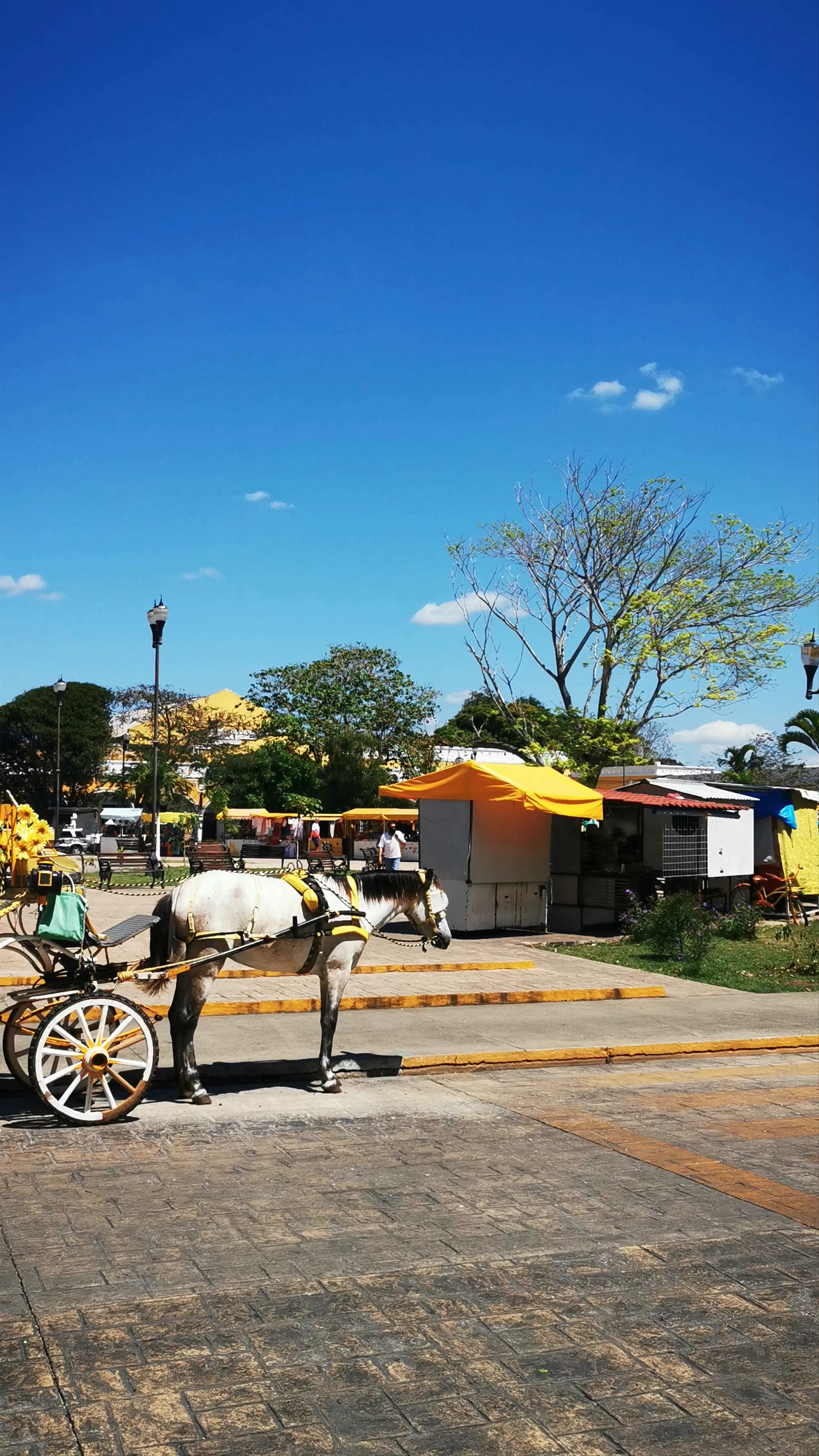 Izamal Centro, Izamal