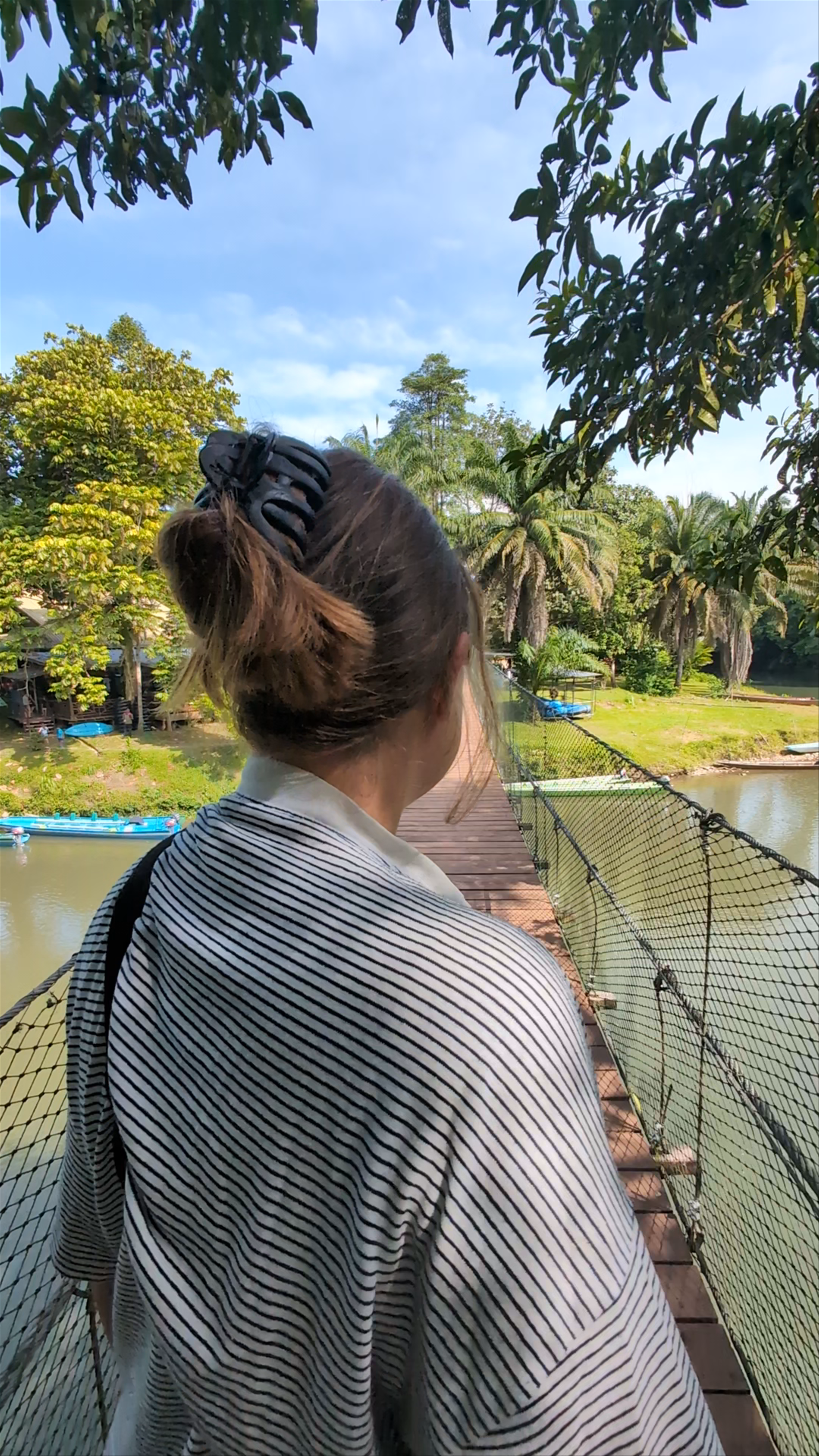 Freme Rainforest Lodge