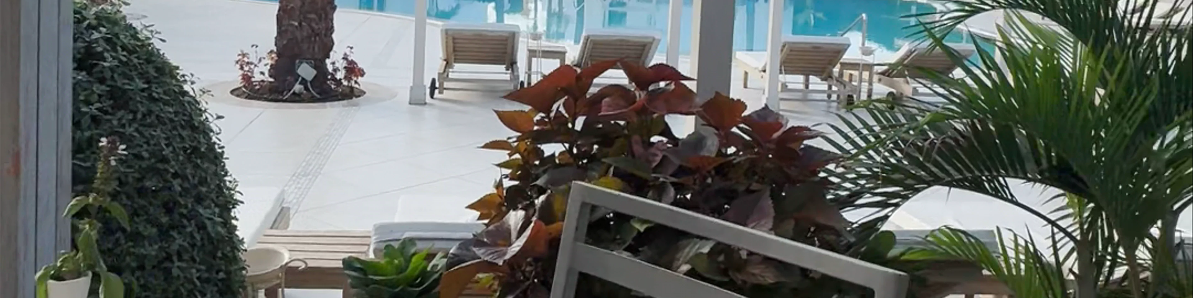 Temple Pool Restaurant