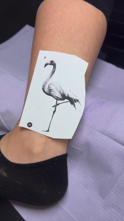Fine Liners Tattoo Studio - Tattoo Near Me - Houston, Texas