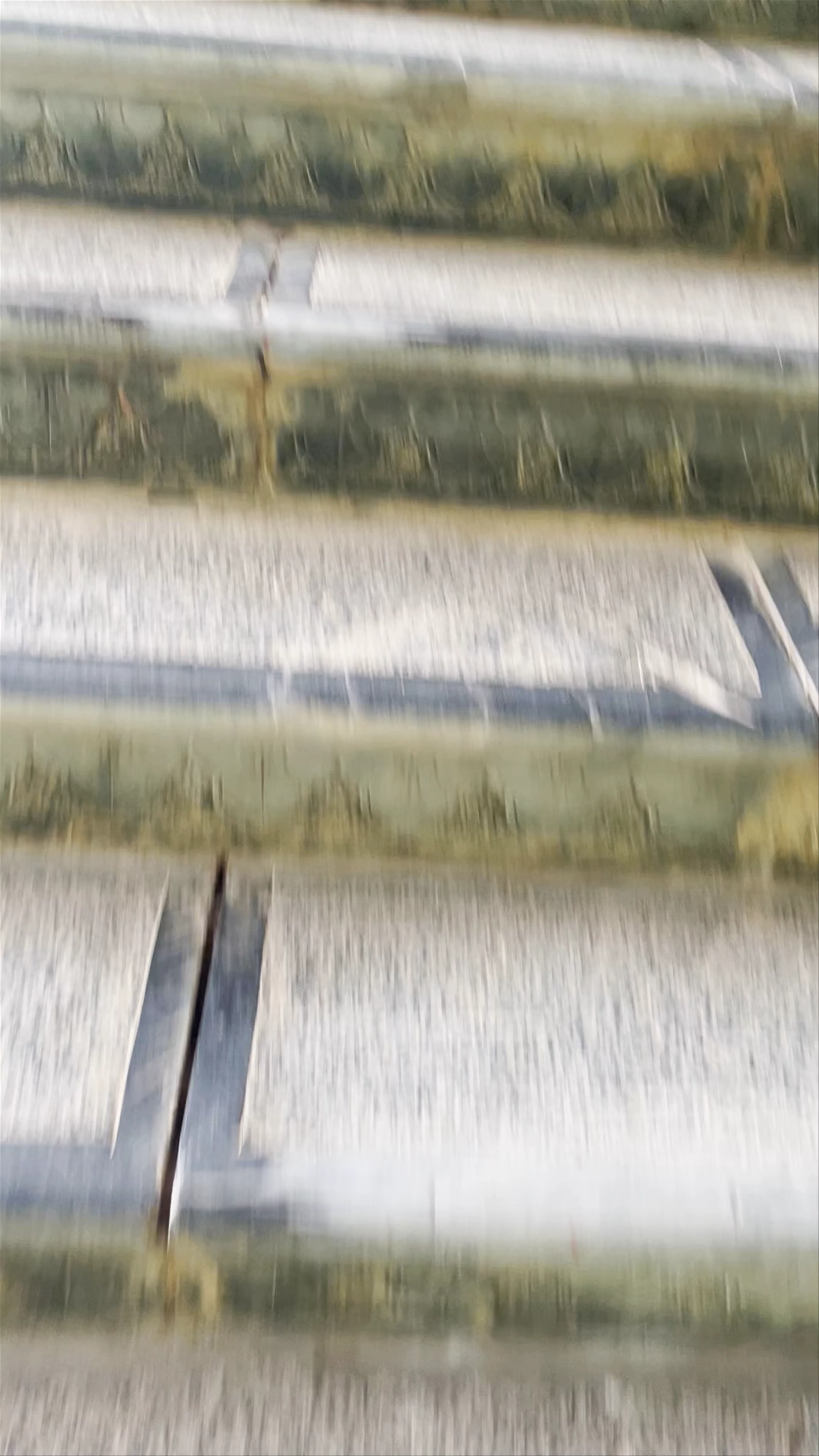 Maitreya Statue, Tay Hoa Lu