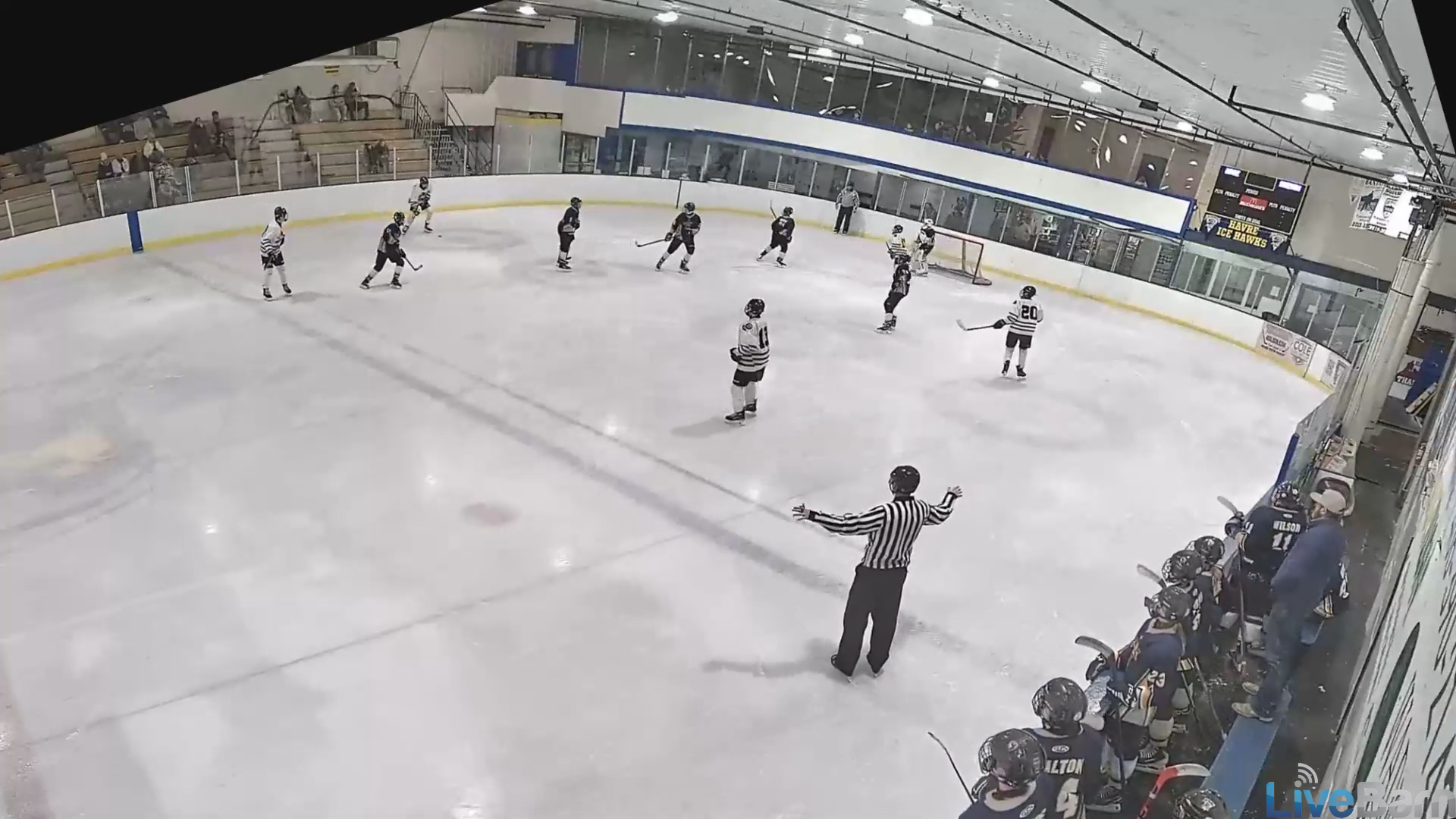 Liam Capp's Spectacular Goals | Bozeman Ice Dogs 14U A Highlights