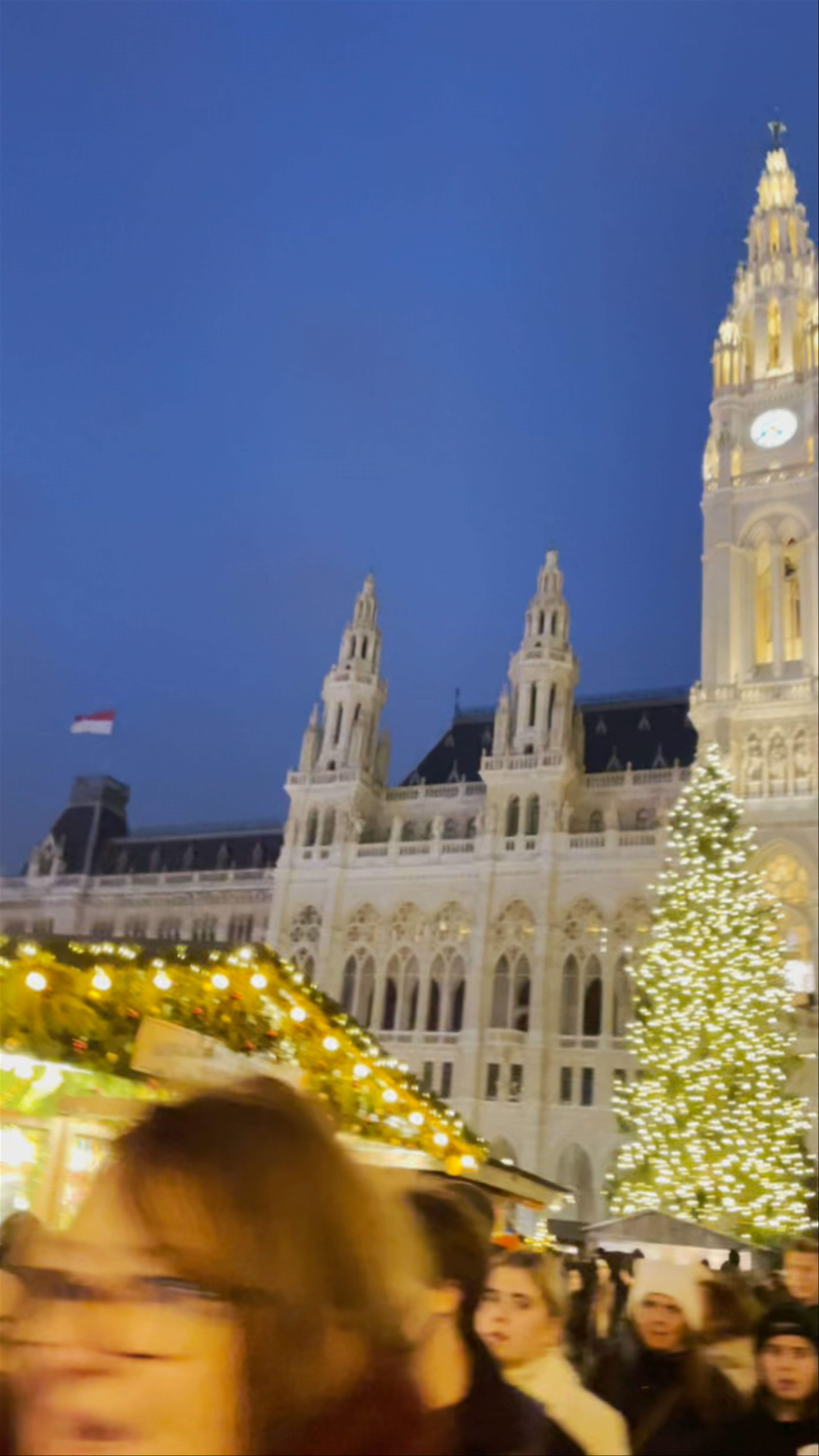 Winter Magic at Rathausplatz Christmas Market, Vienna