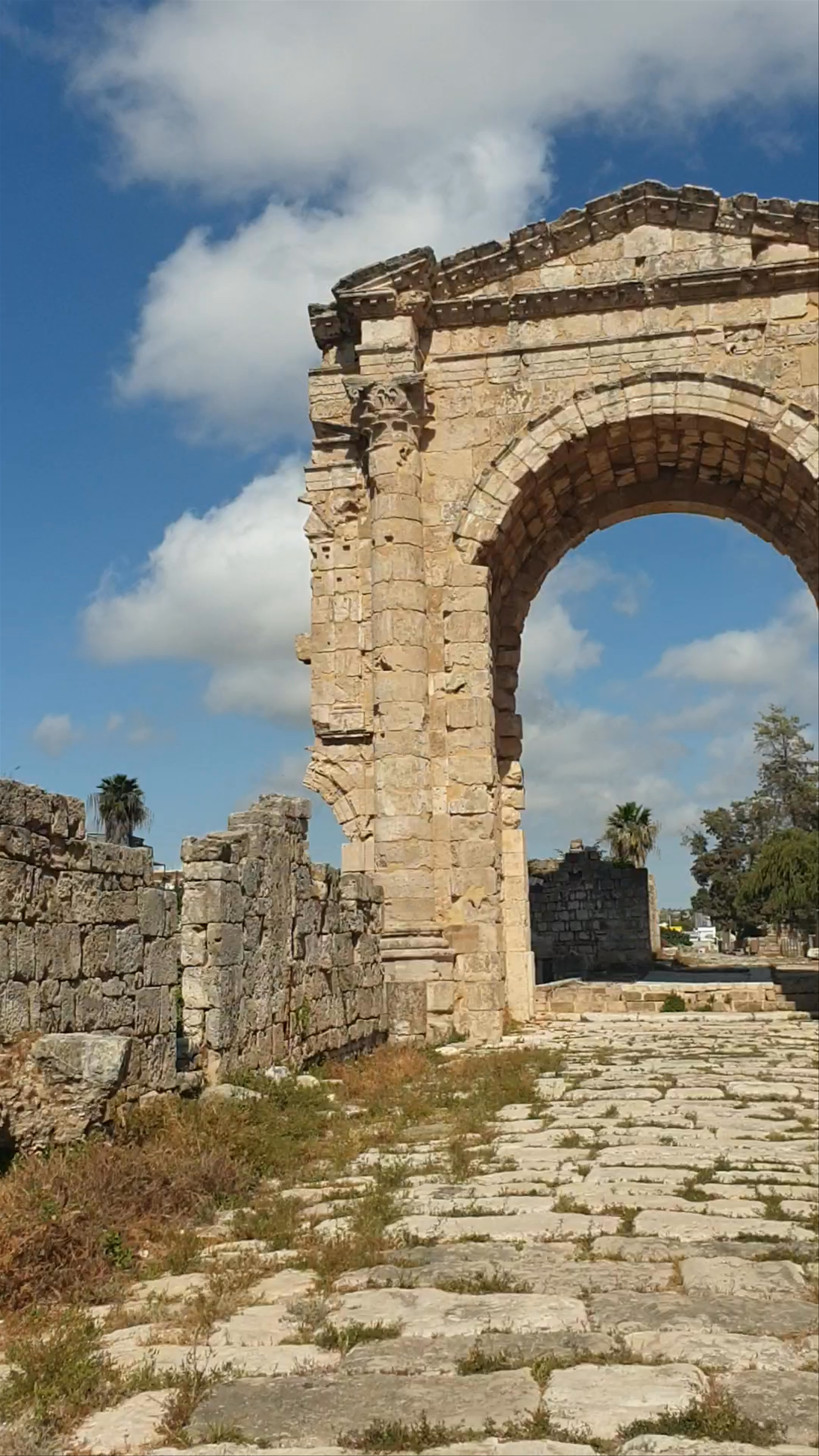 Ruins of Tyre - Necropolis