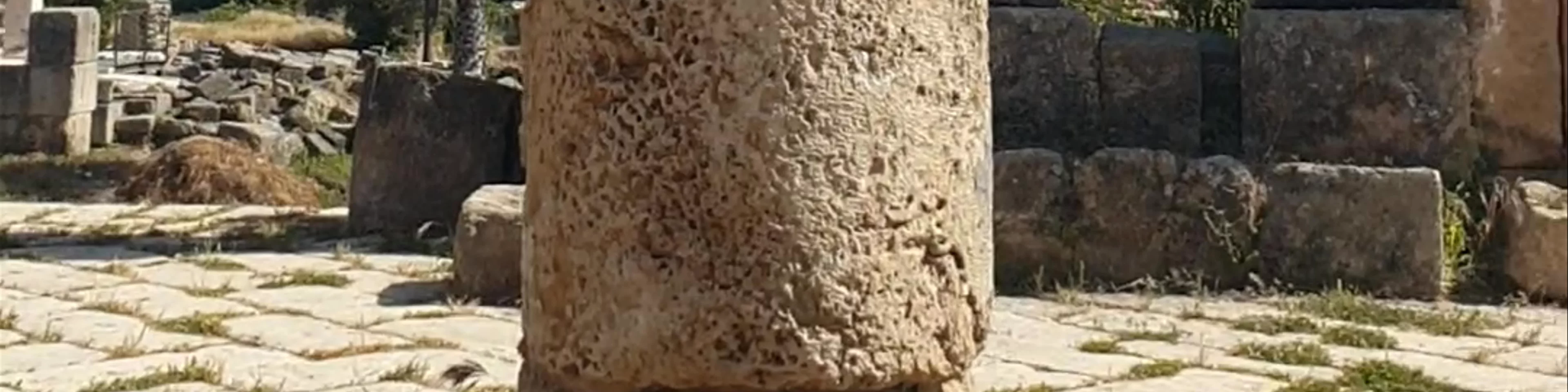 Ruins of Tyre - Necropolis