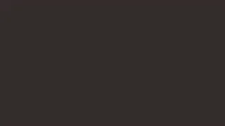 Video para sala de espera: Factores de riesgo de demencia