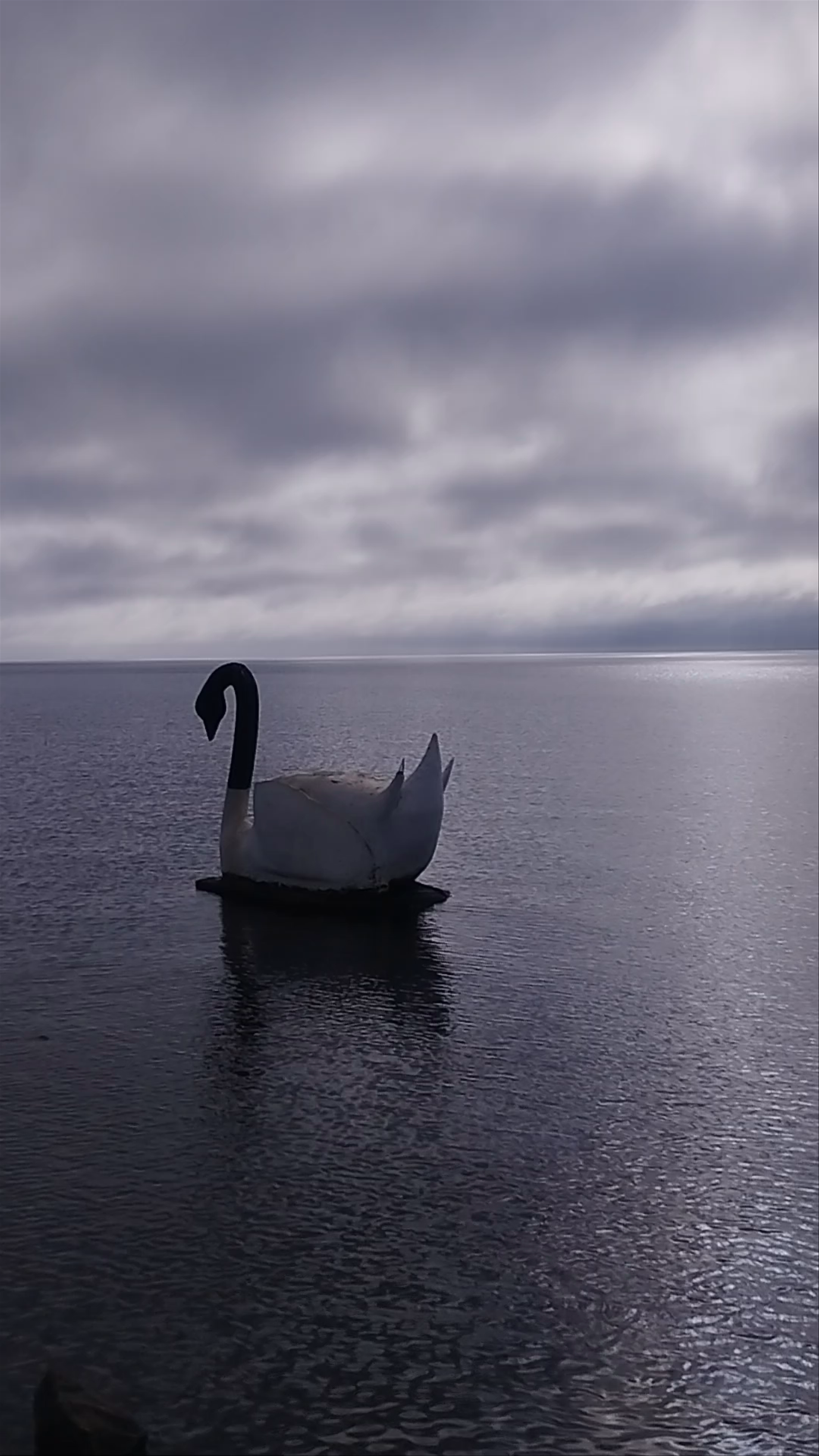 Letrero Lago Llanquihue - Lago