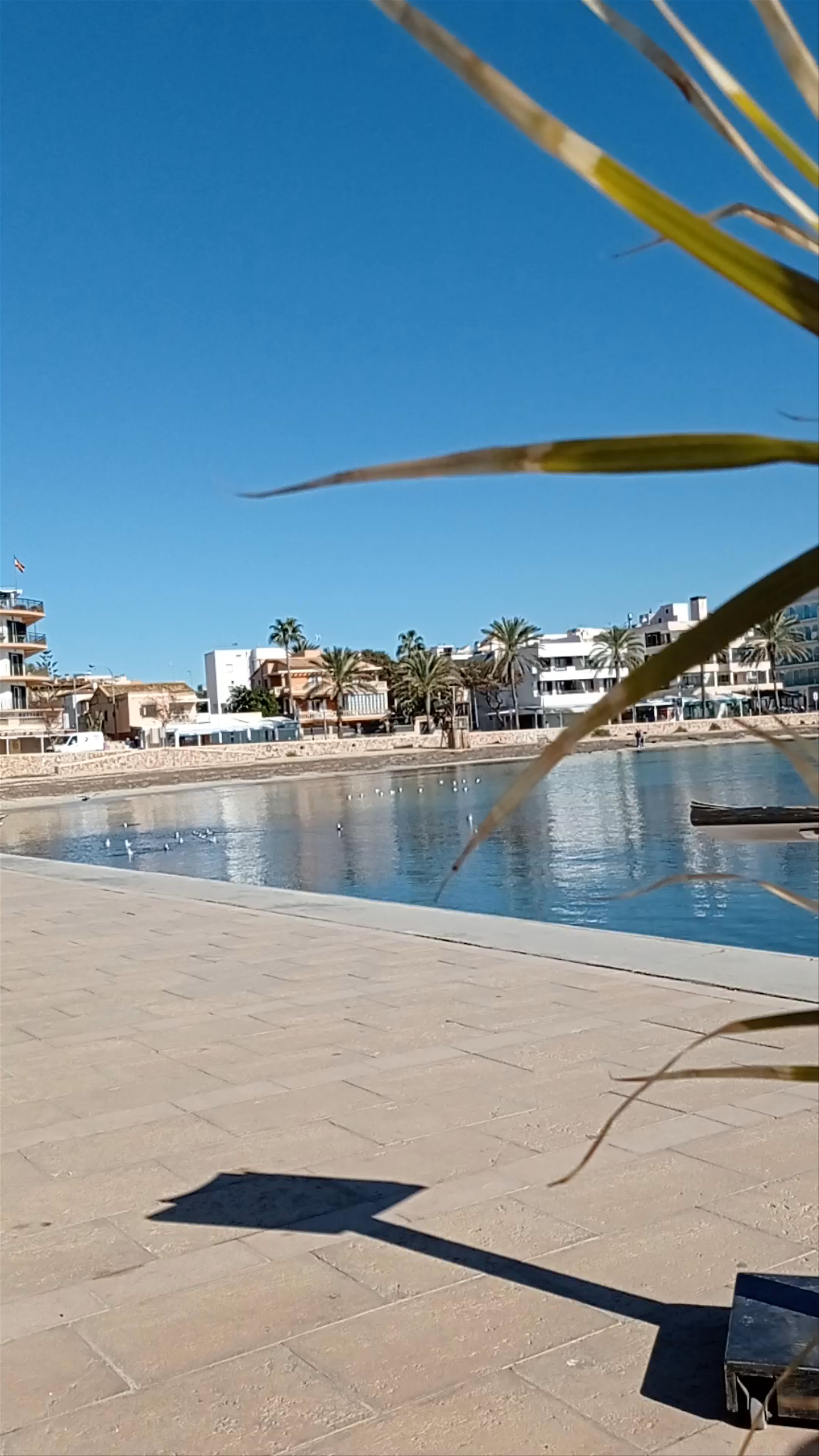 Sunny Waterfront Dining at Casanova Restaurante in Can Pastilla