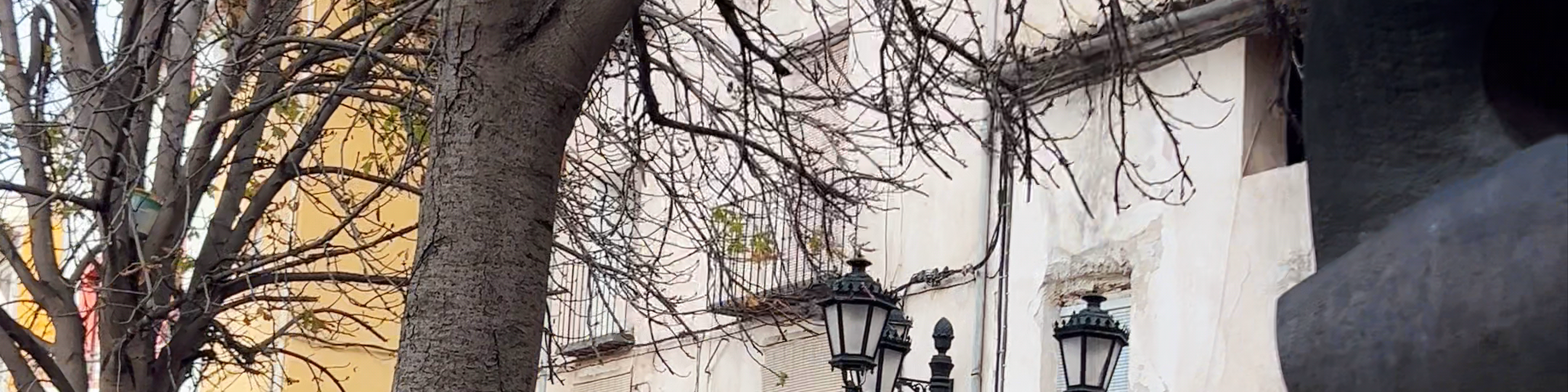Caravaca