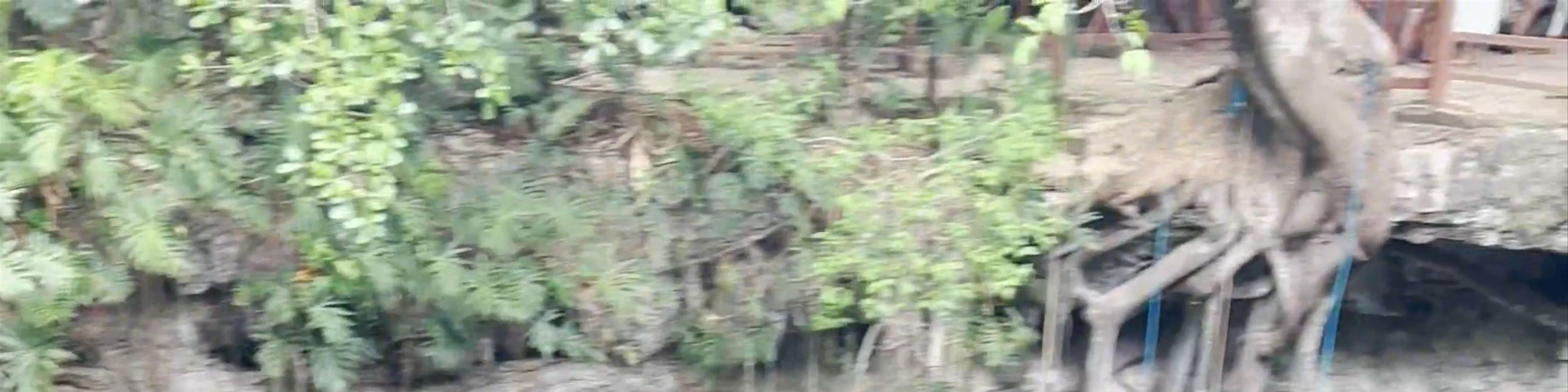 Cenote Xcan ché