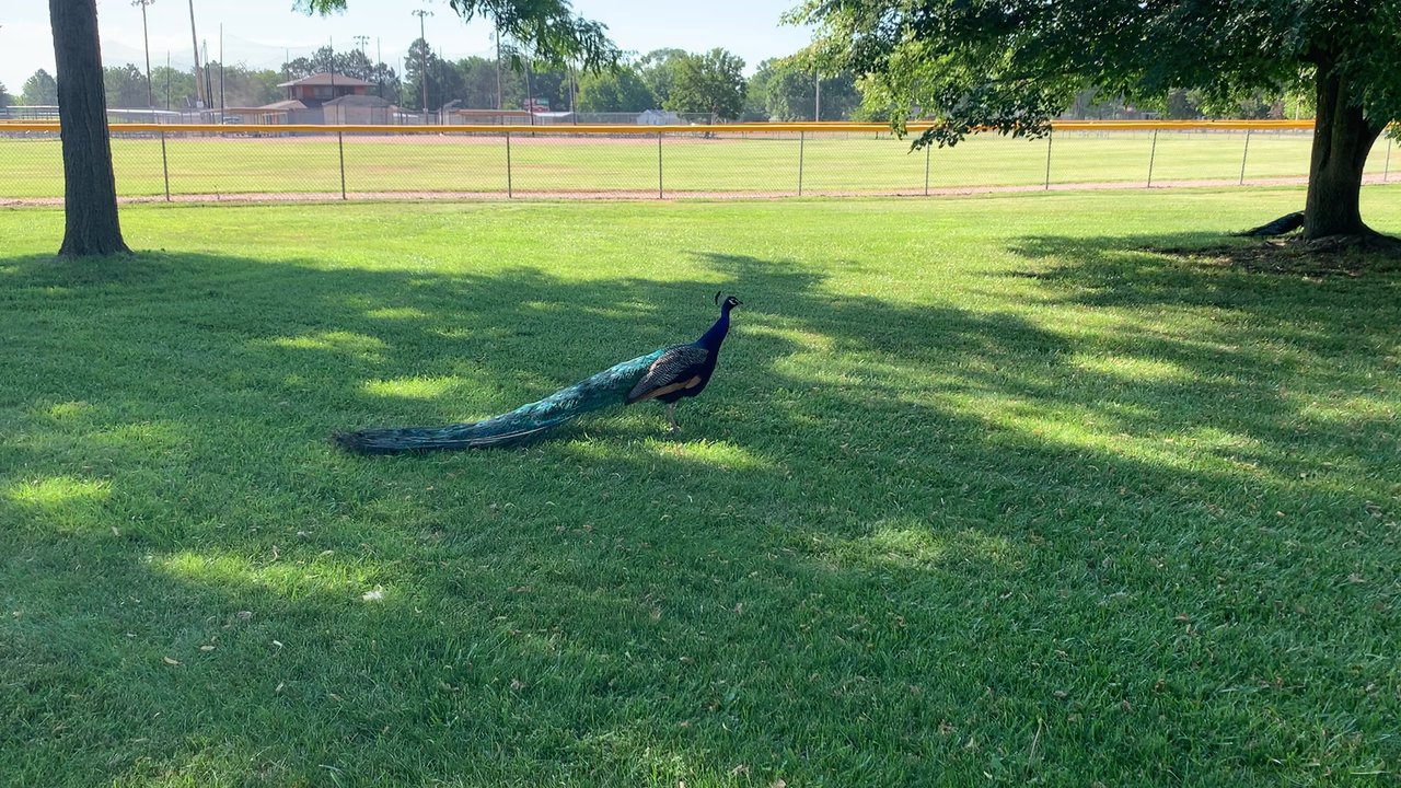 Cody Park - Parks Near Me - North Platte, Nebraska