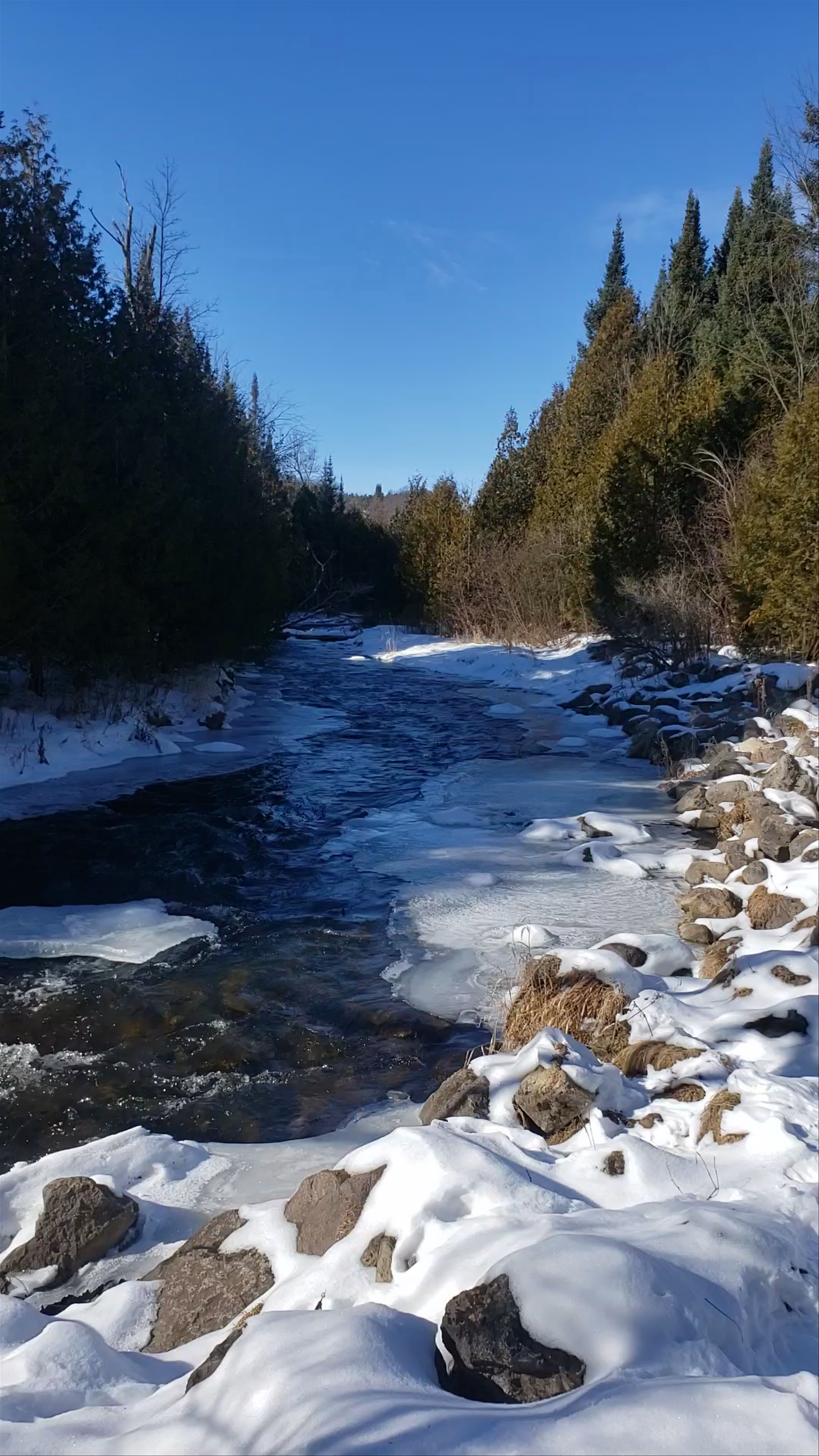 Forks of the Credit Provincial Park