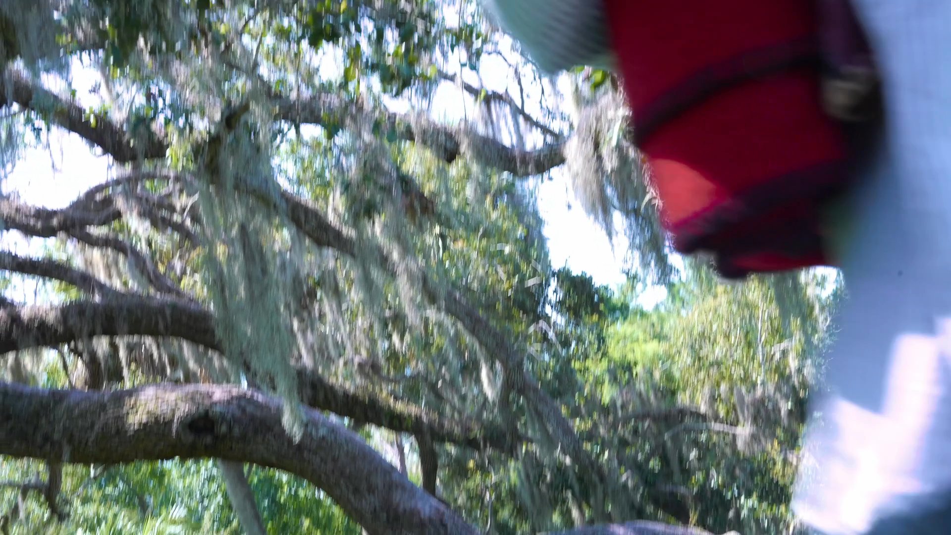 A couple travels by car to a wooded park before setting up a picnic blanket and spending time together in nature.