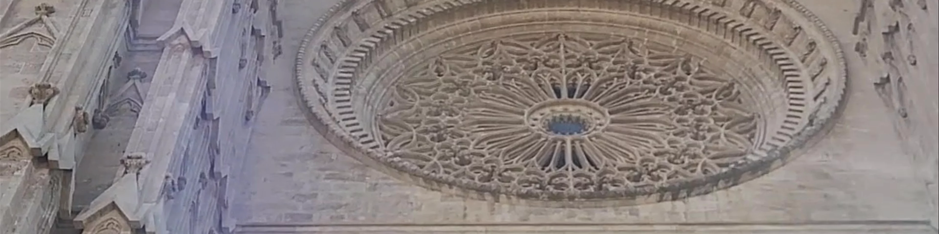 Catedral De Palma