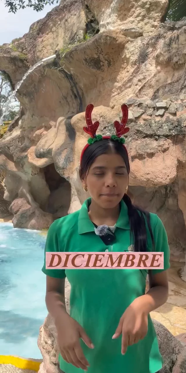 Contenido del creador