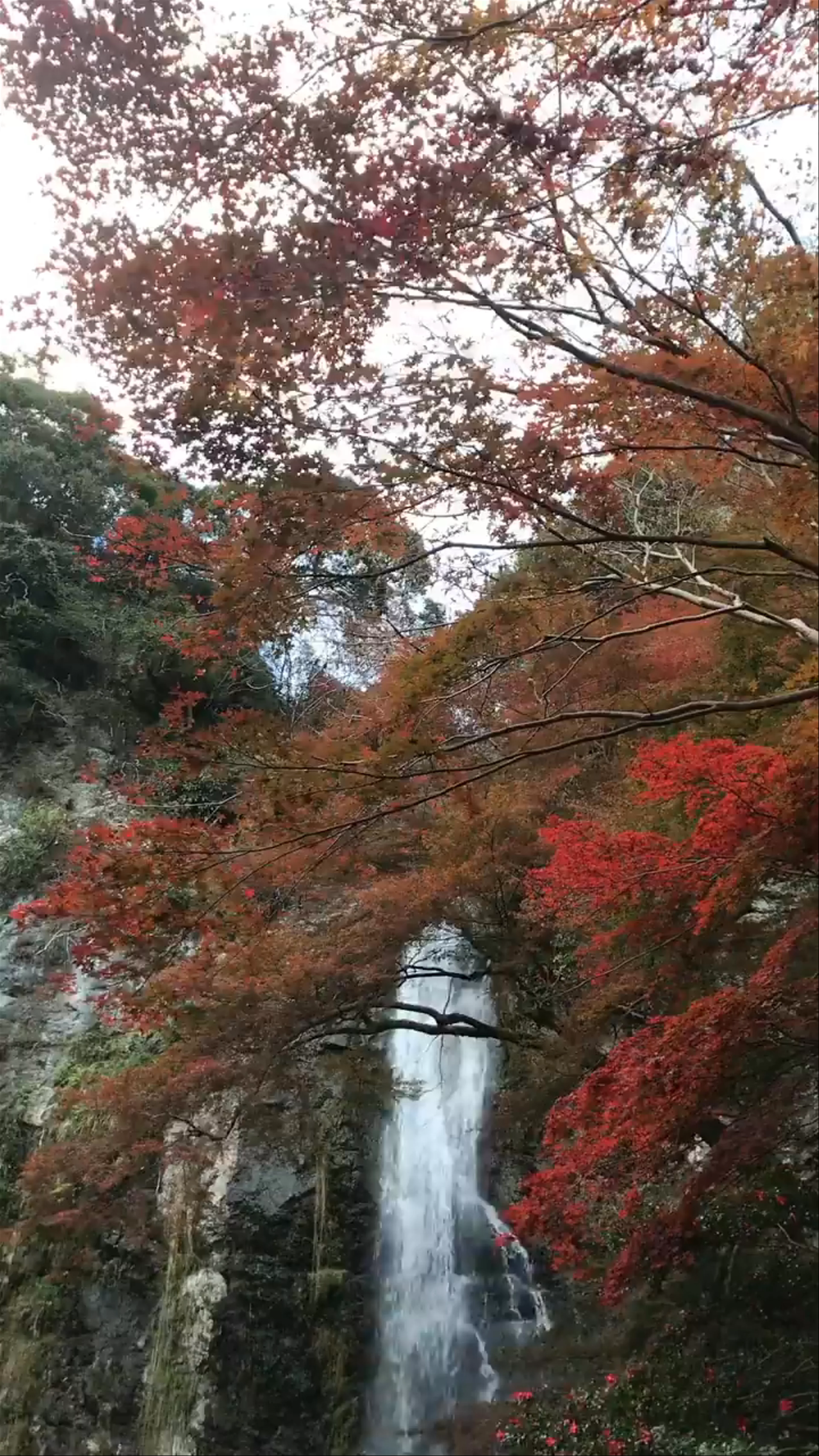 Minoh Falls