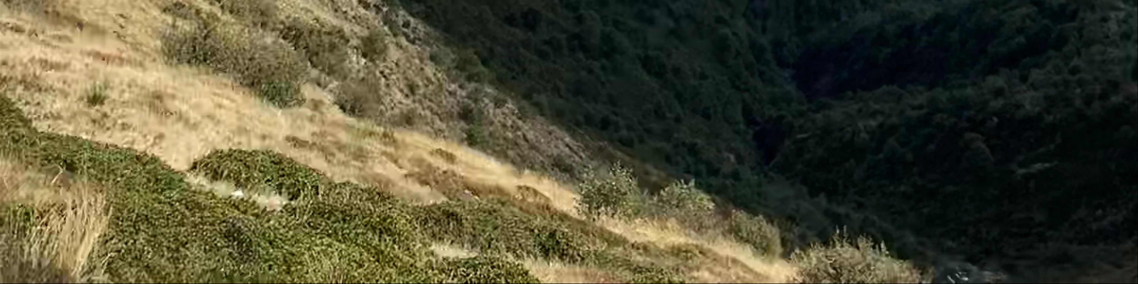 Monte Limidario