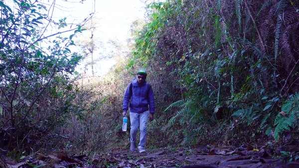 Photo of Offbeat Meghalaya - 