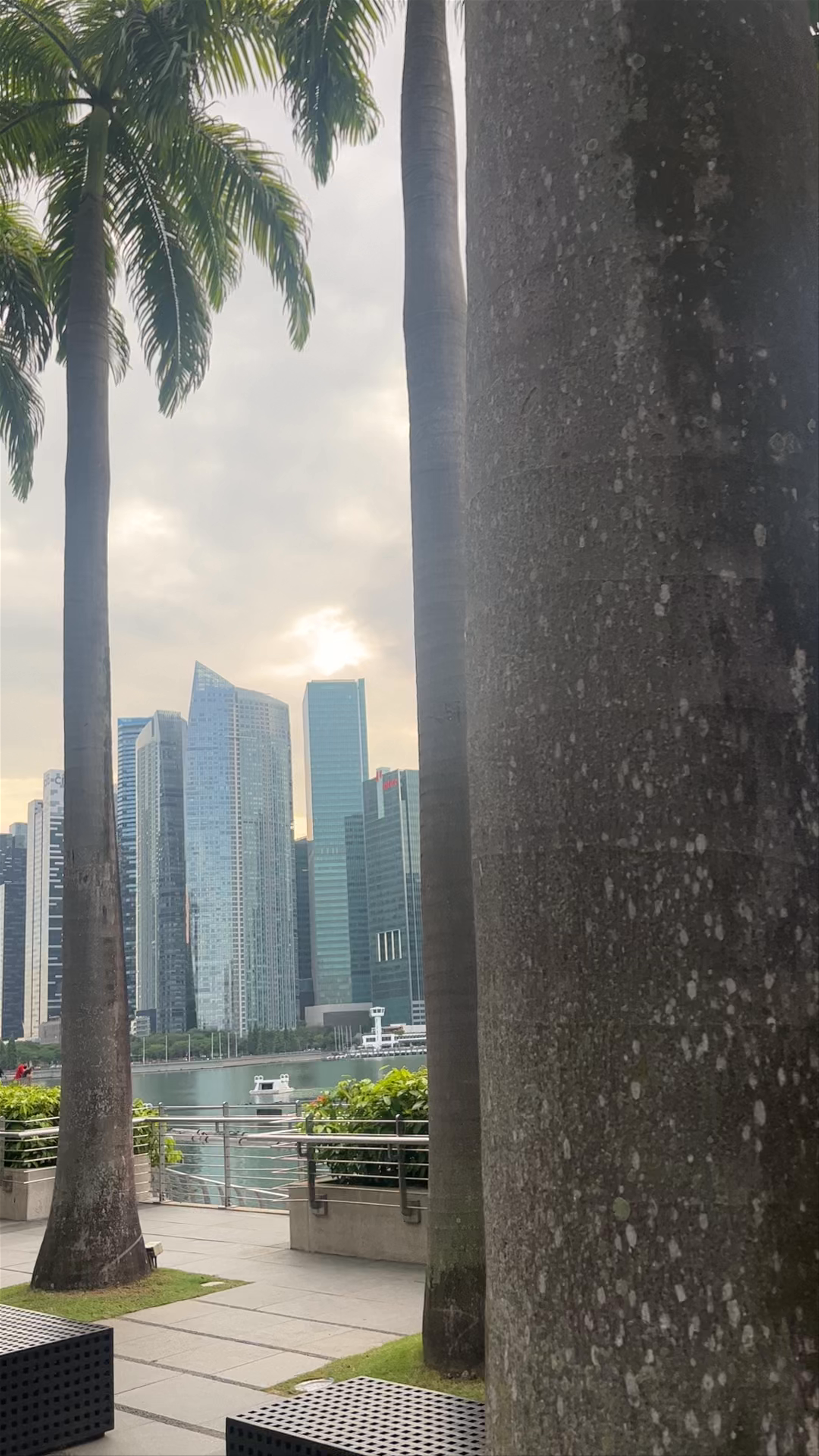 Bayfront Avenue Serenity with Singapore Skyline