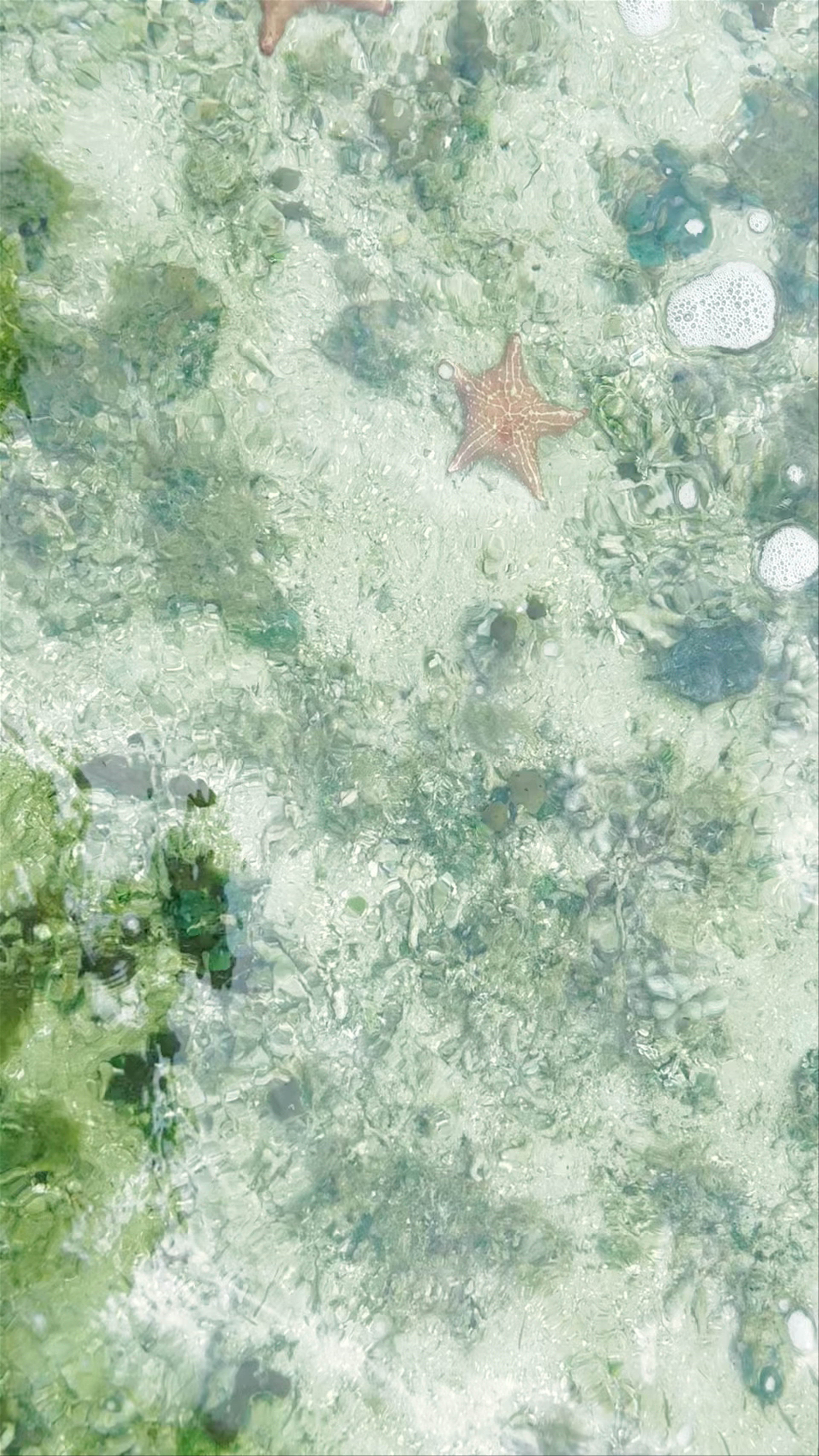 Playa Estrella