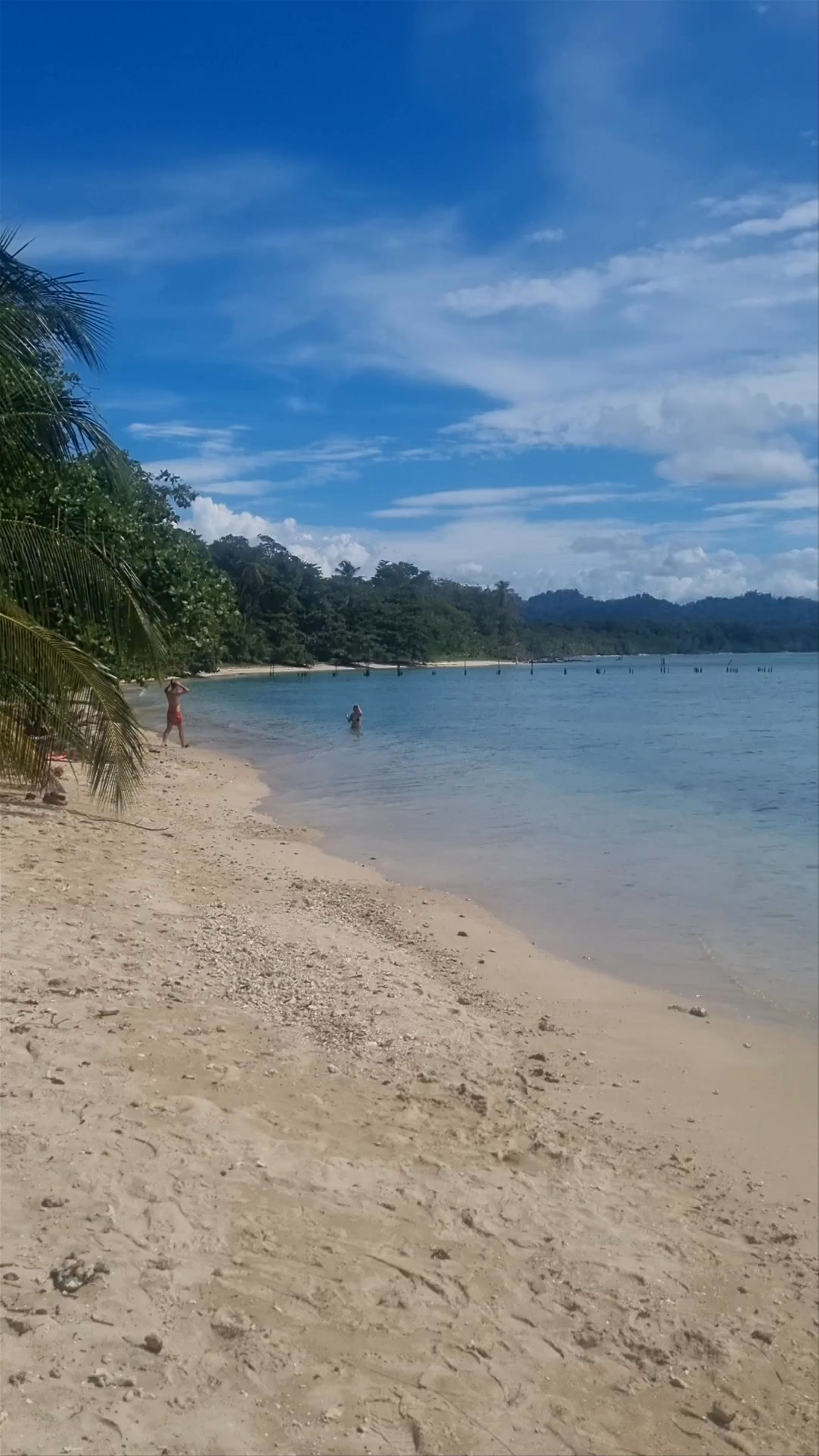 Serene Beachscape at Punta Cahuita, Costa Rica