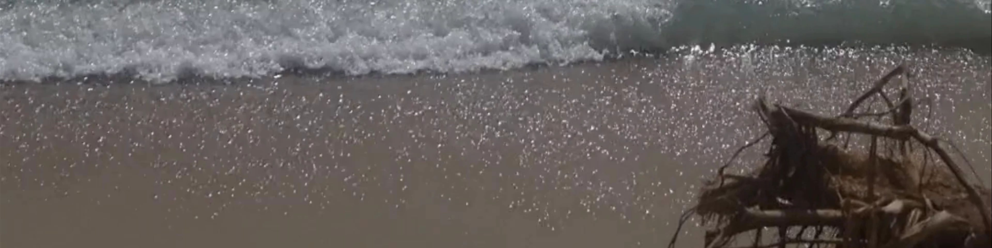 Punta Cahuita