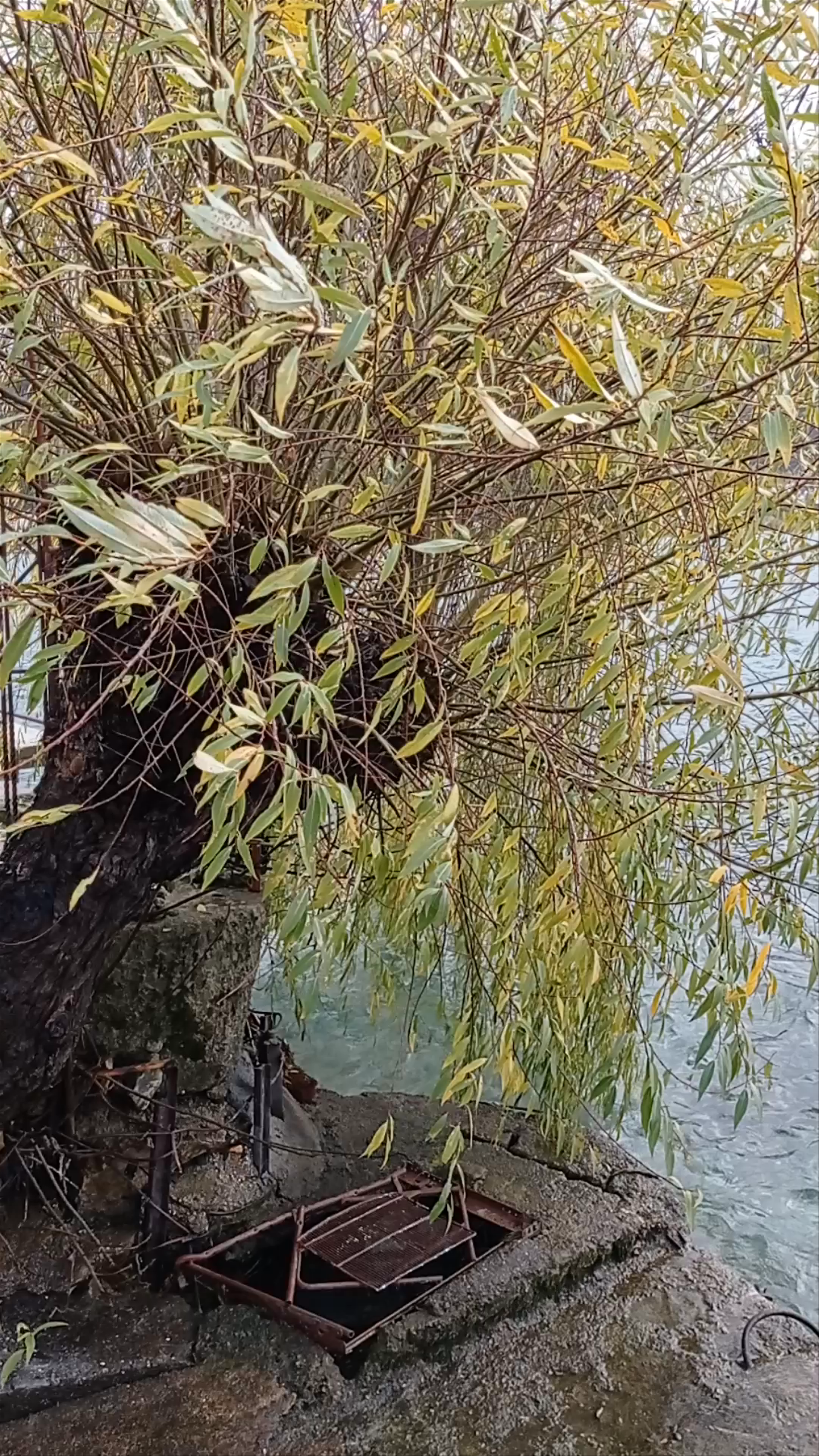 Ohrid Boardwalk