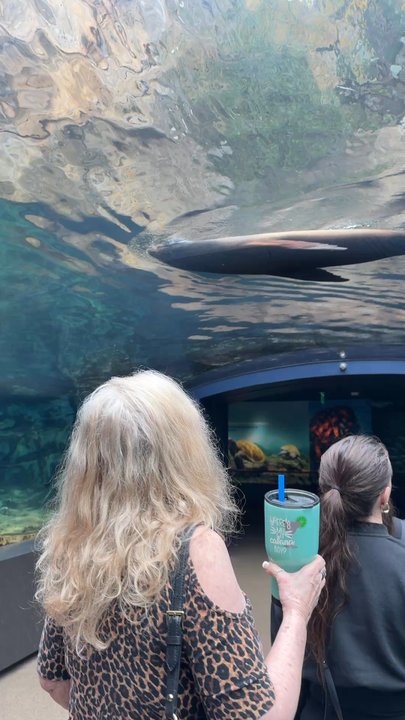 Houston Zoo - Zoos Near Me - Houston, Texas