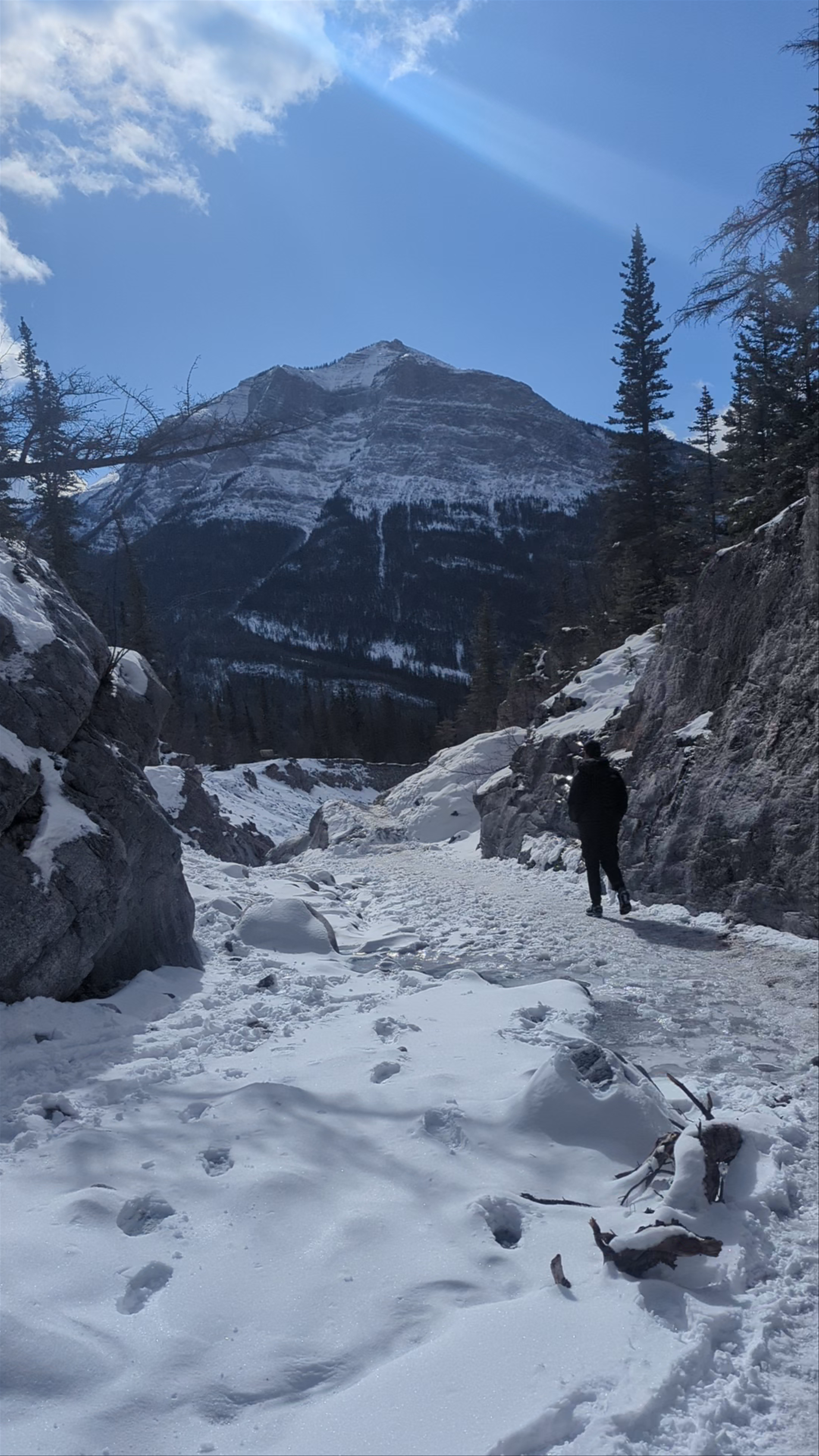 Winter Hiking Adventure at Grotto Canyon Trail, Alberta