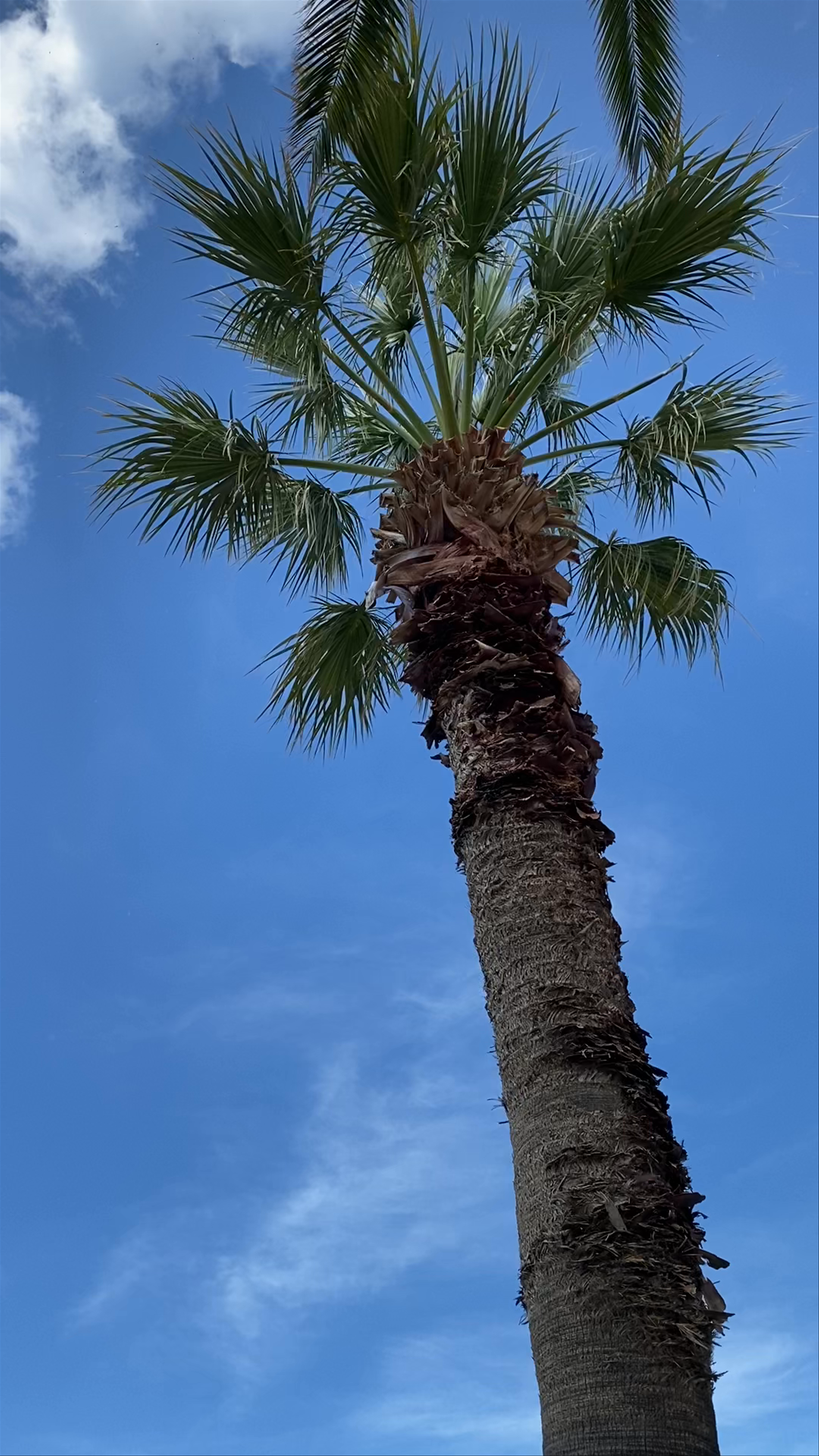 Plage de Banyuls sur Mer