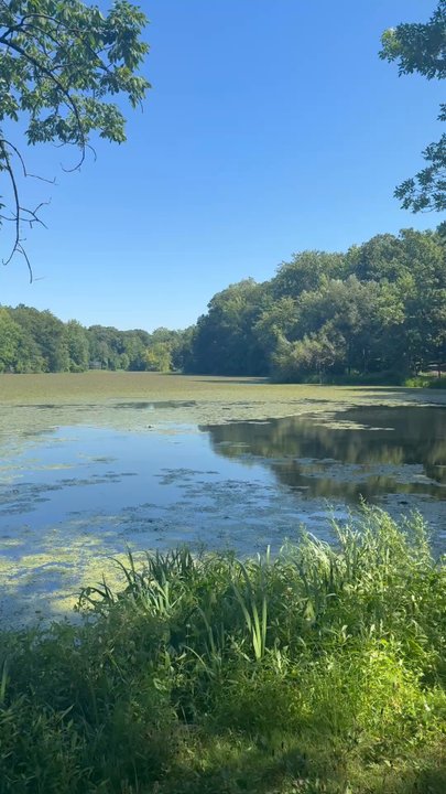 Tibbets Brooks Park - Lake View - Parks Near Me - Yonkers, New York