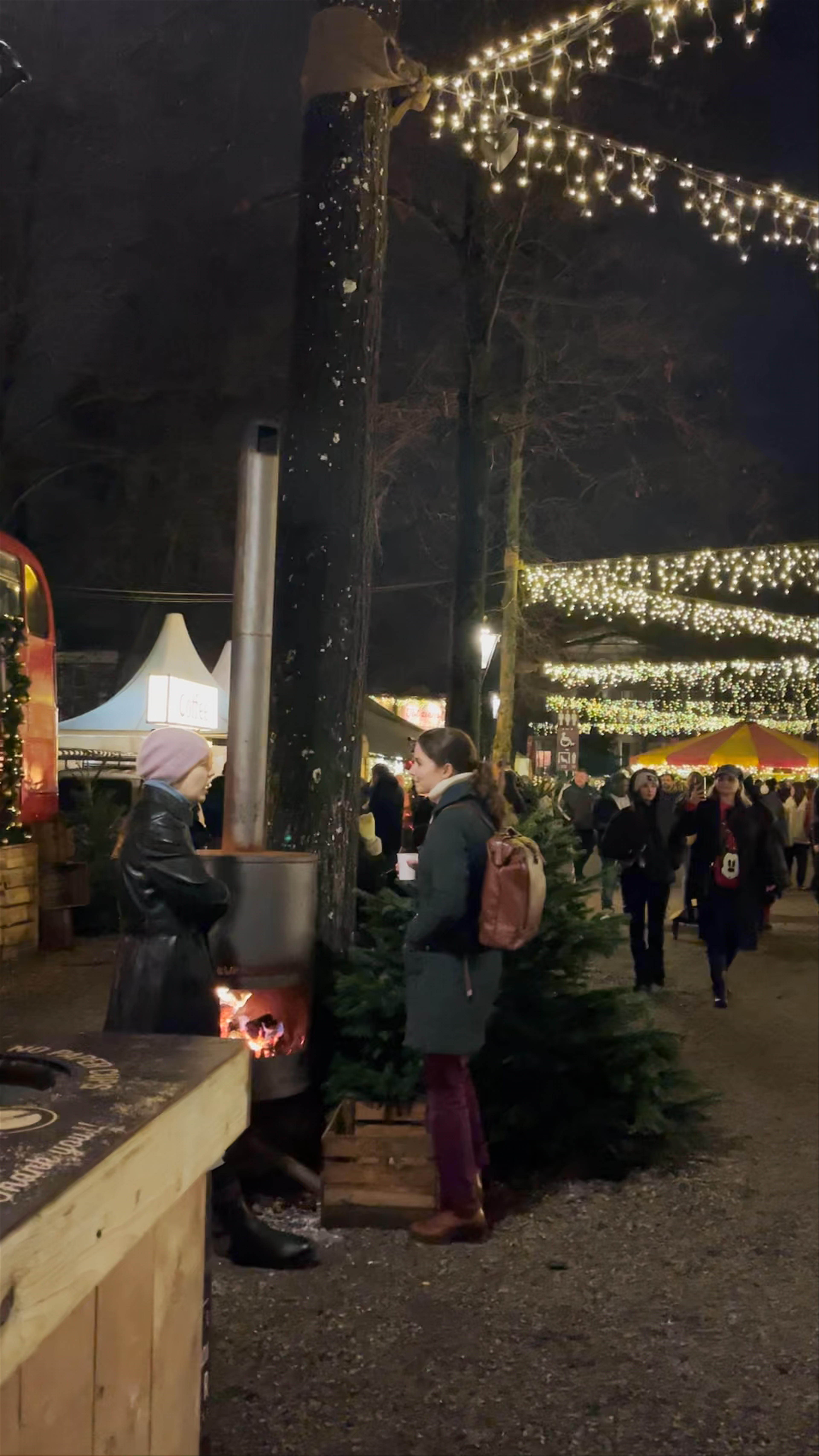 Royal Christmas Fair at Lange Voorhout: Magical Winter Night in The Hague