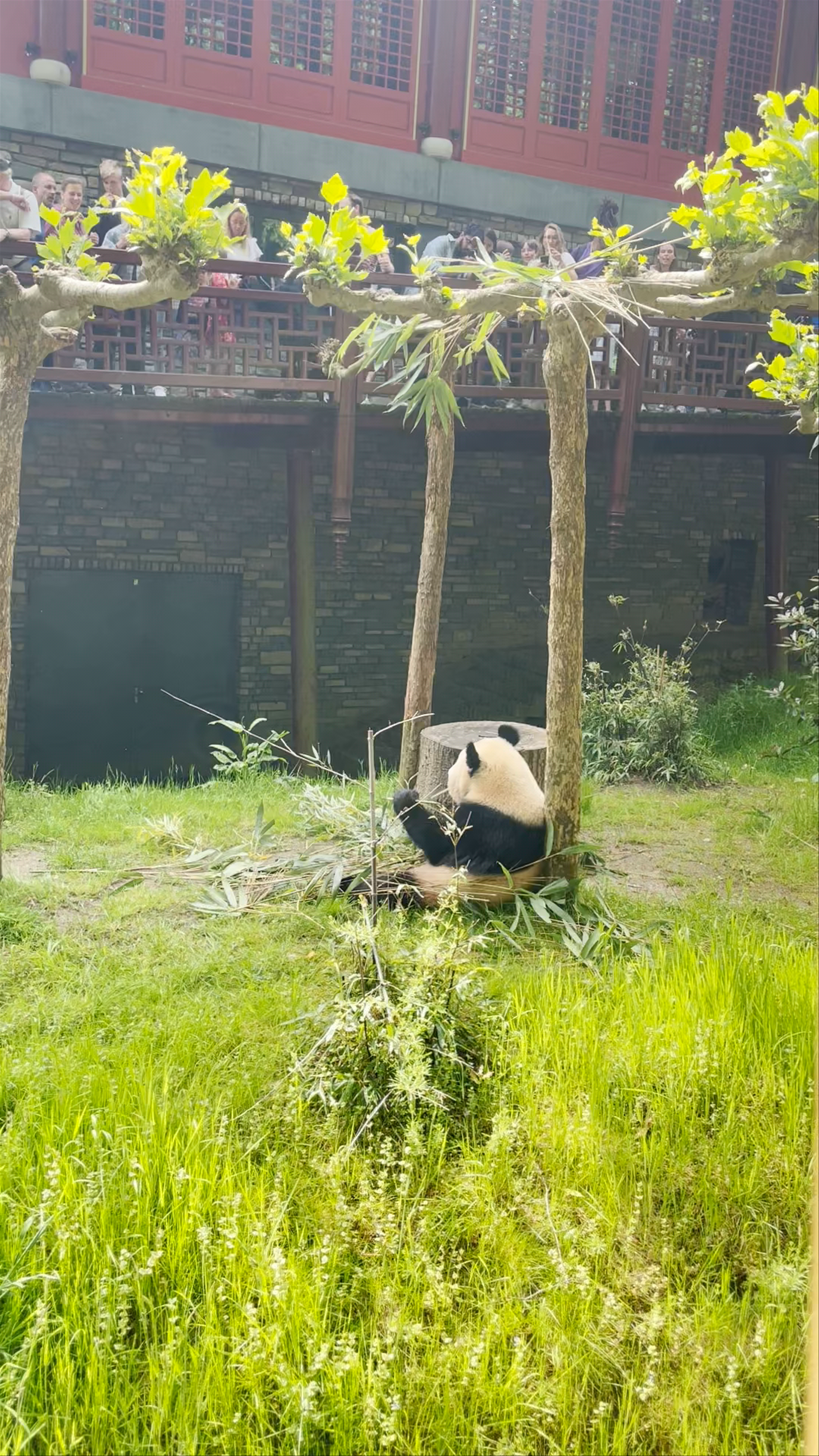 Ouwehands Dierenpark