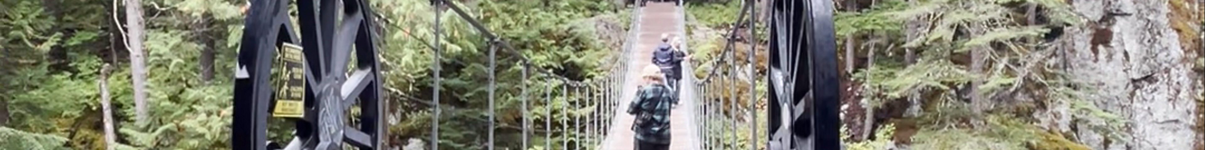 Tours & experiences in Whistler