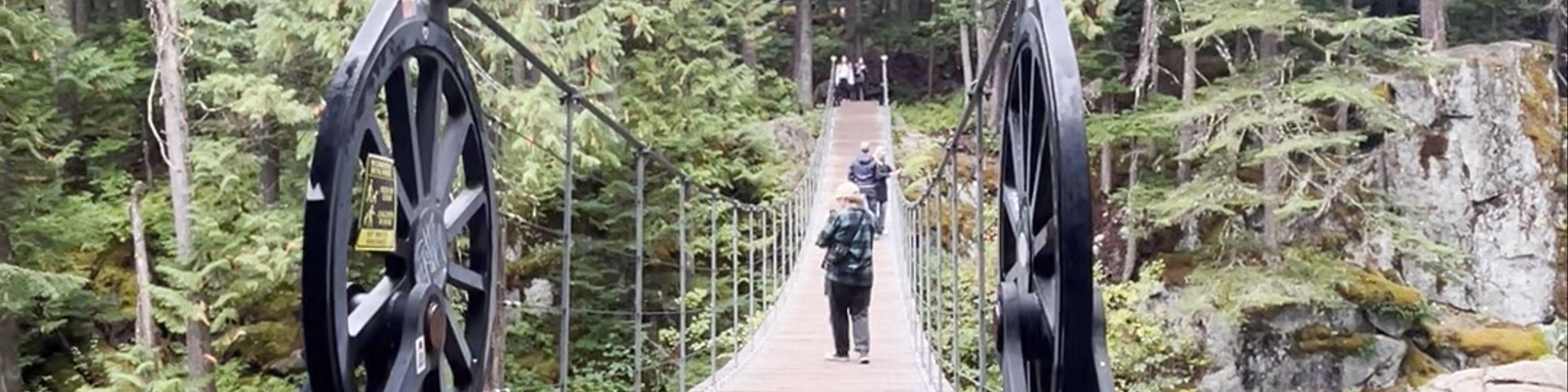 Whistler